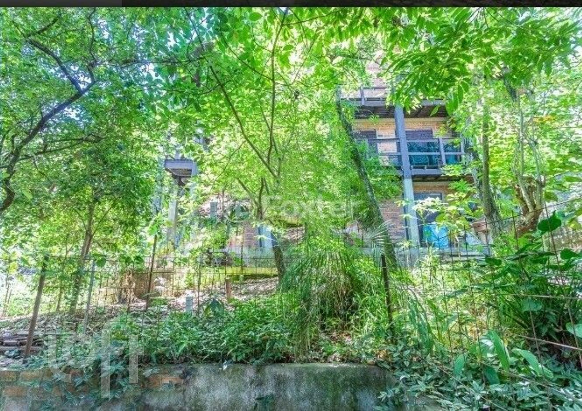 Imagem da propriedade 18