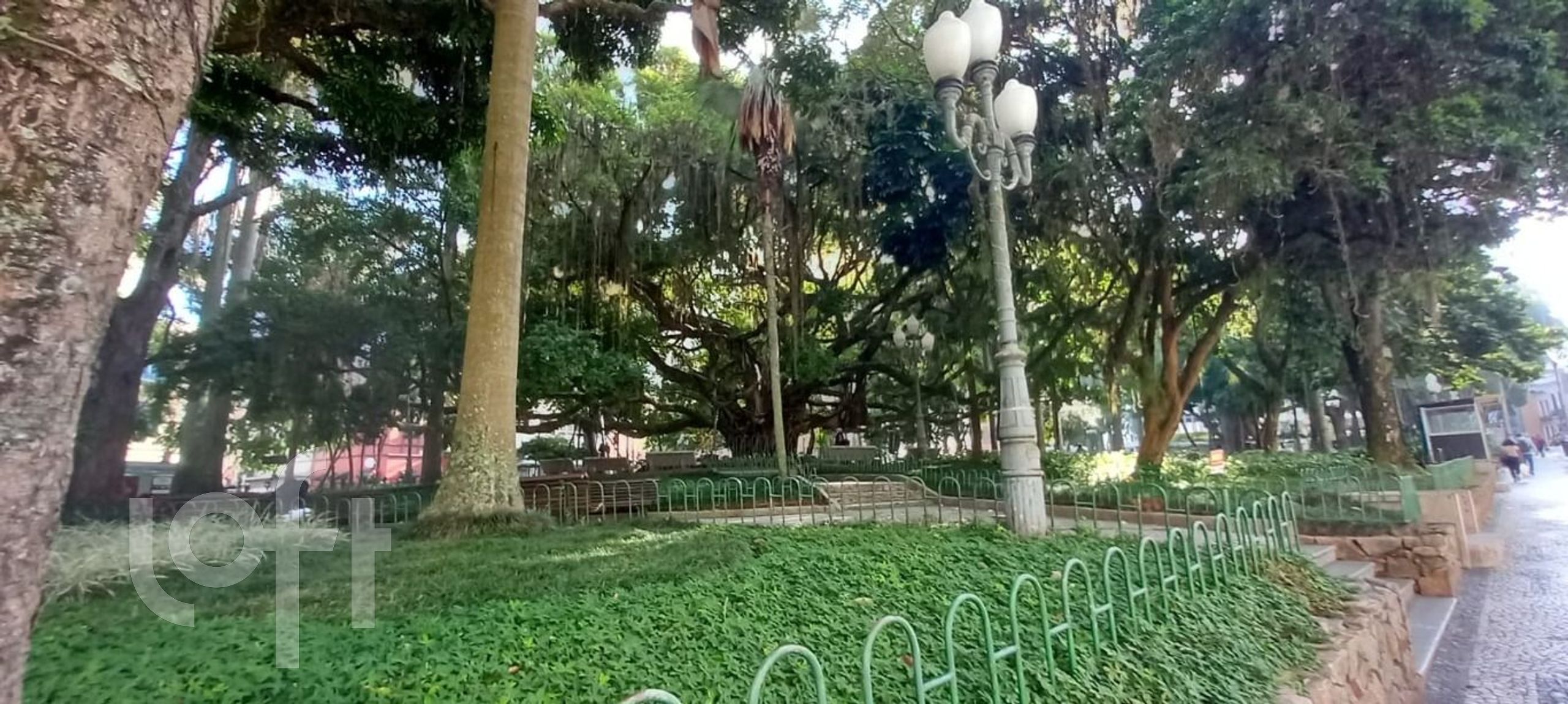 Imagem da propriedade 18