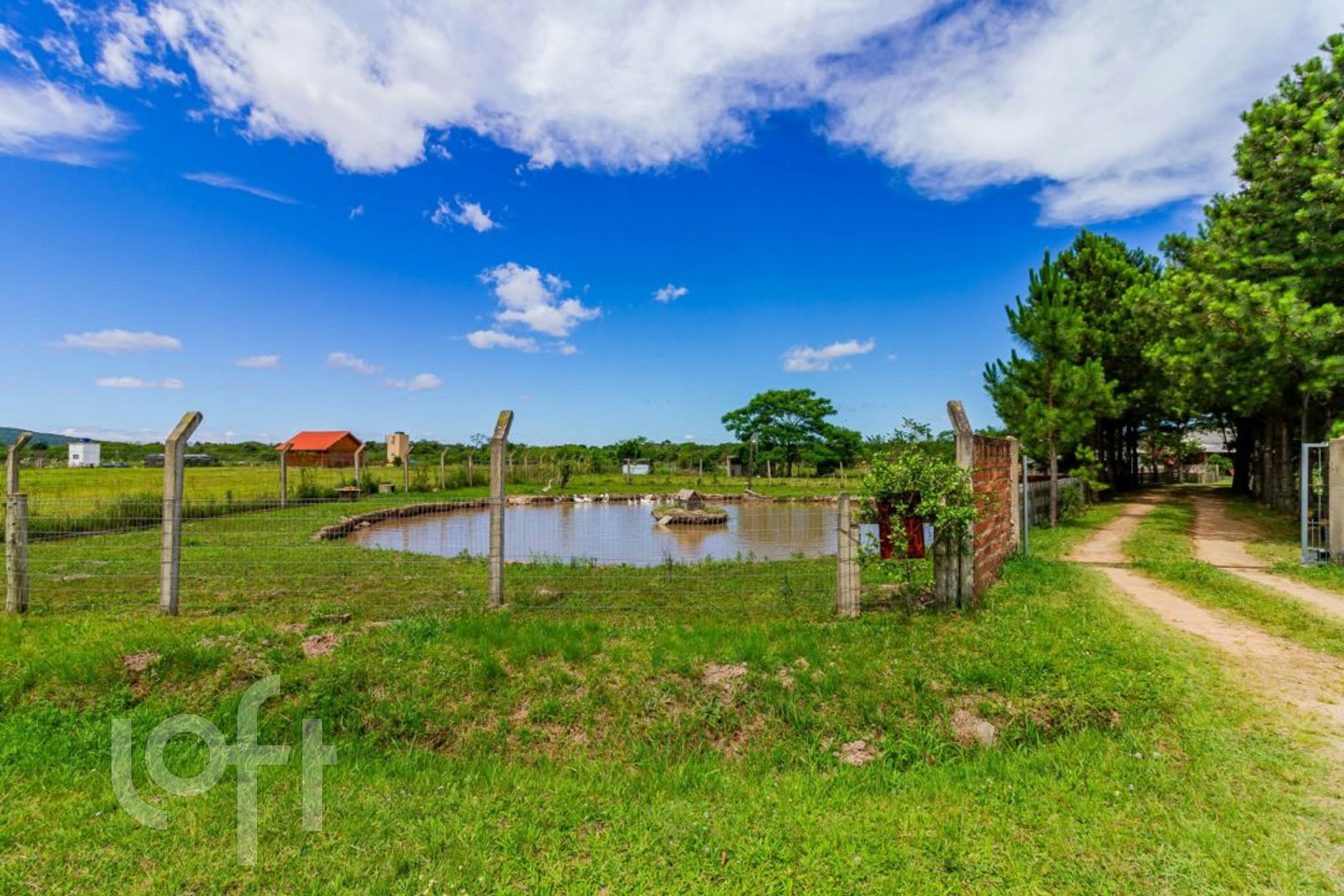 Imagem da propriedade 81