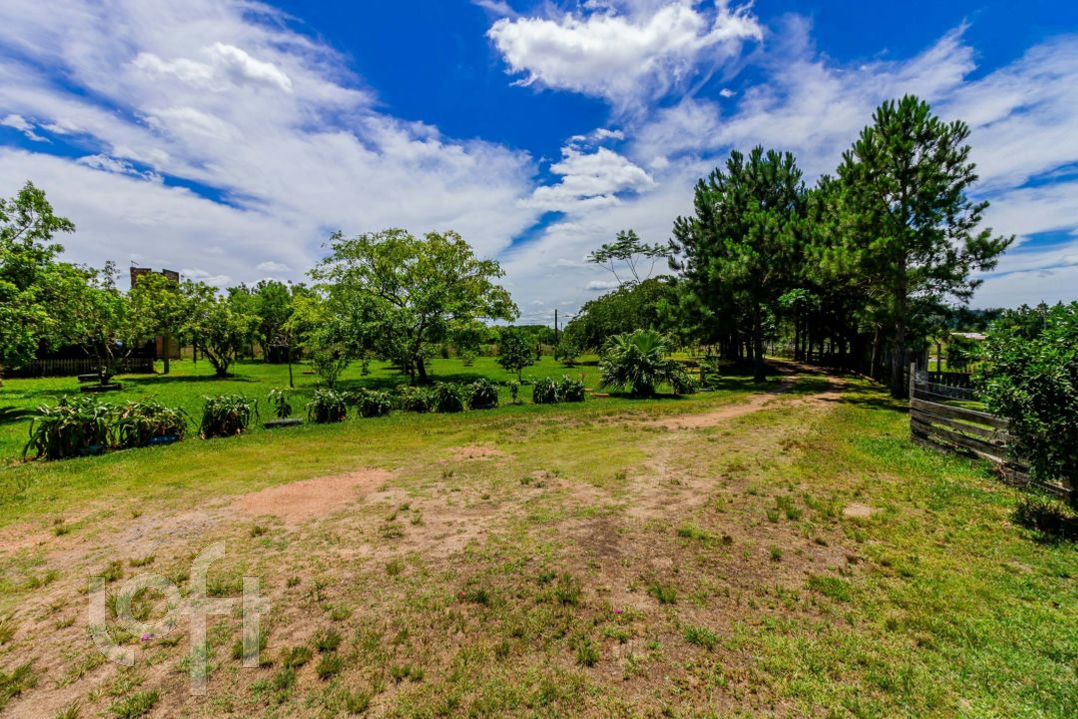 Imagem da propriedade 77