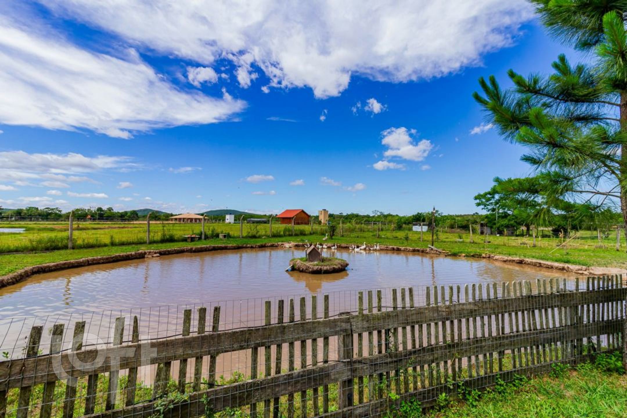 Imagem da propriedade 4