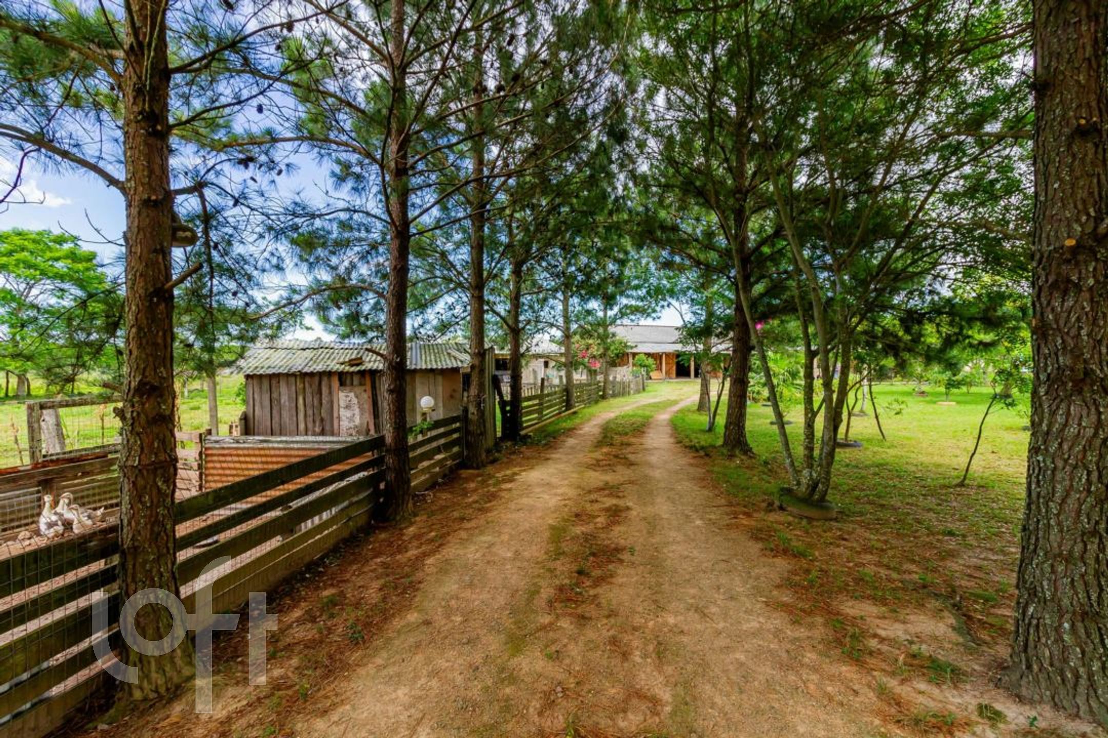 Imagem da propriedade 3