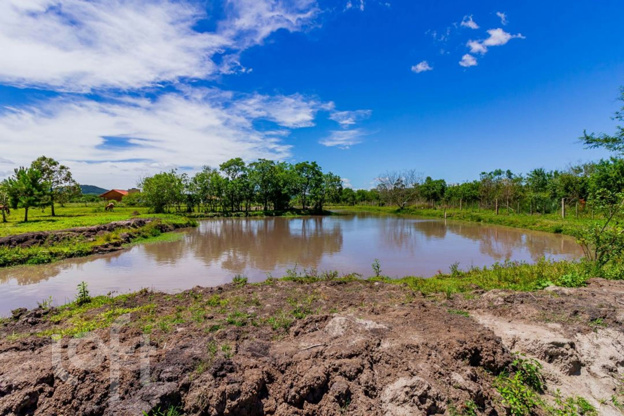 Imagem da propriedade 73