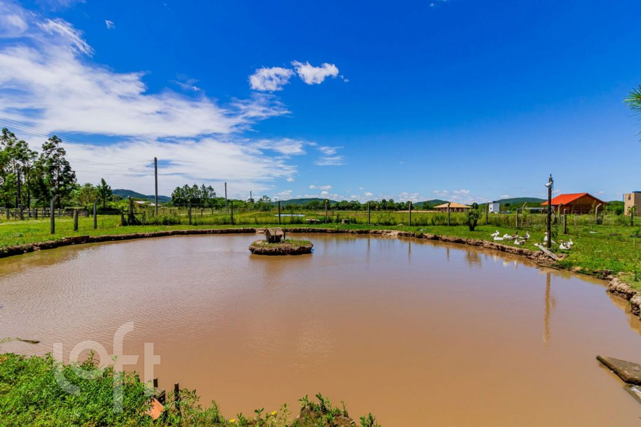 Imagem da propriedade 8