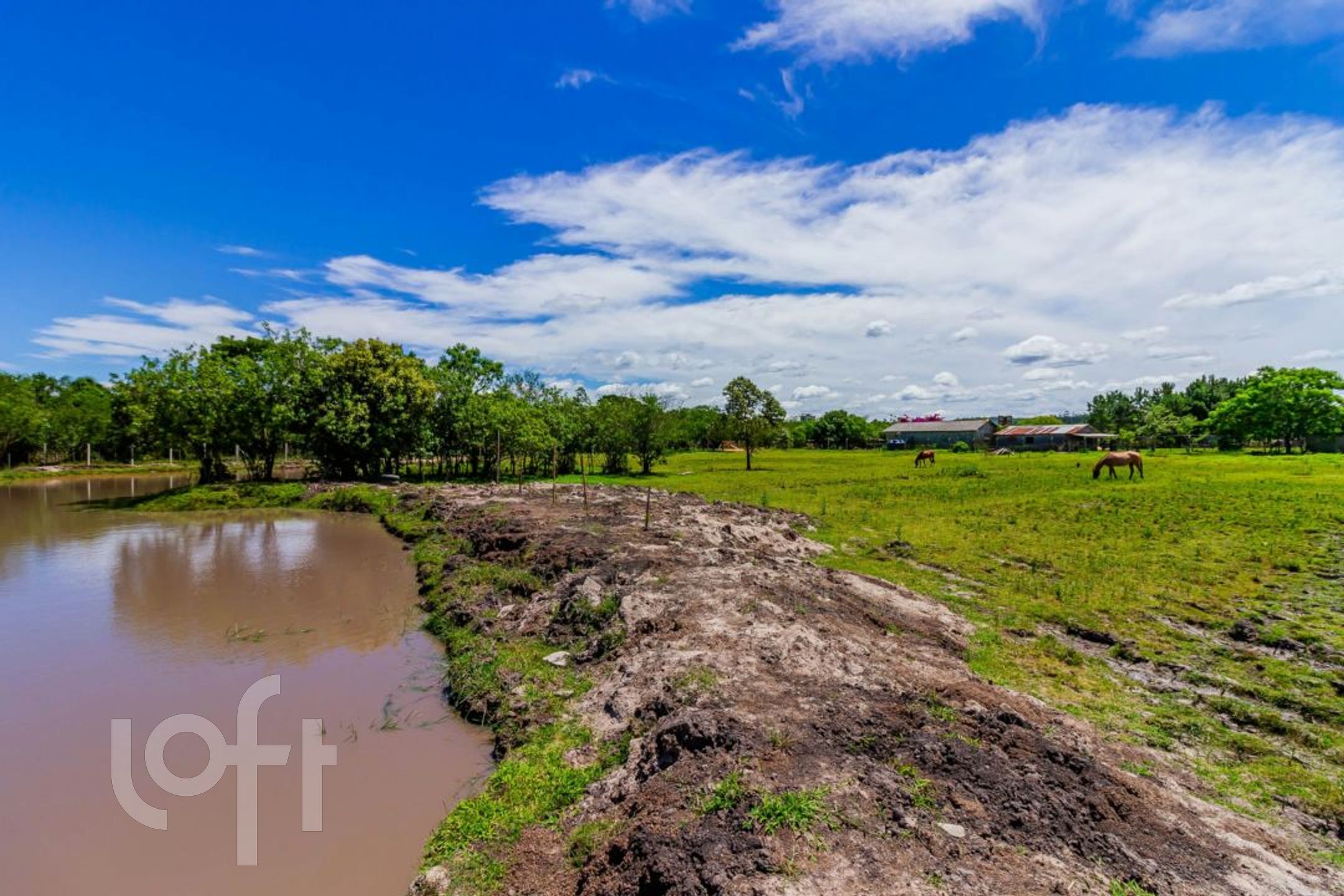 Imagem da propriedade 71