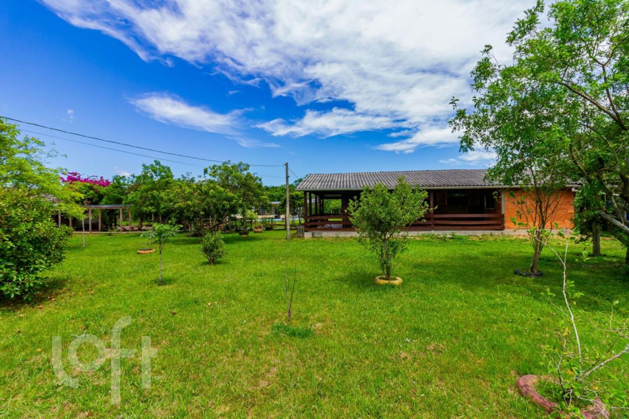 Imagem da propriedade 20