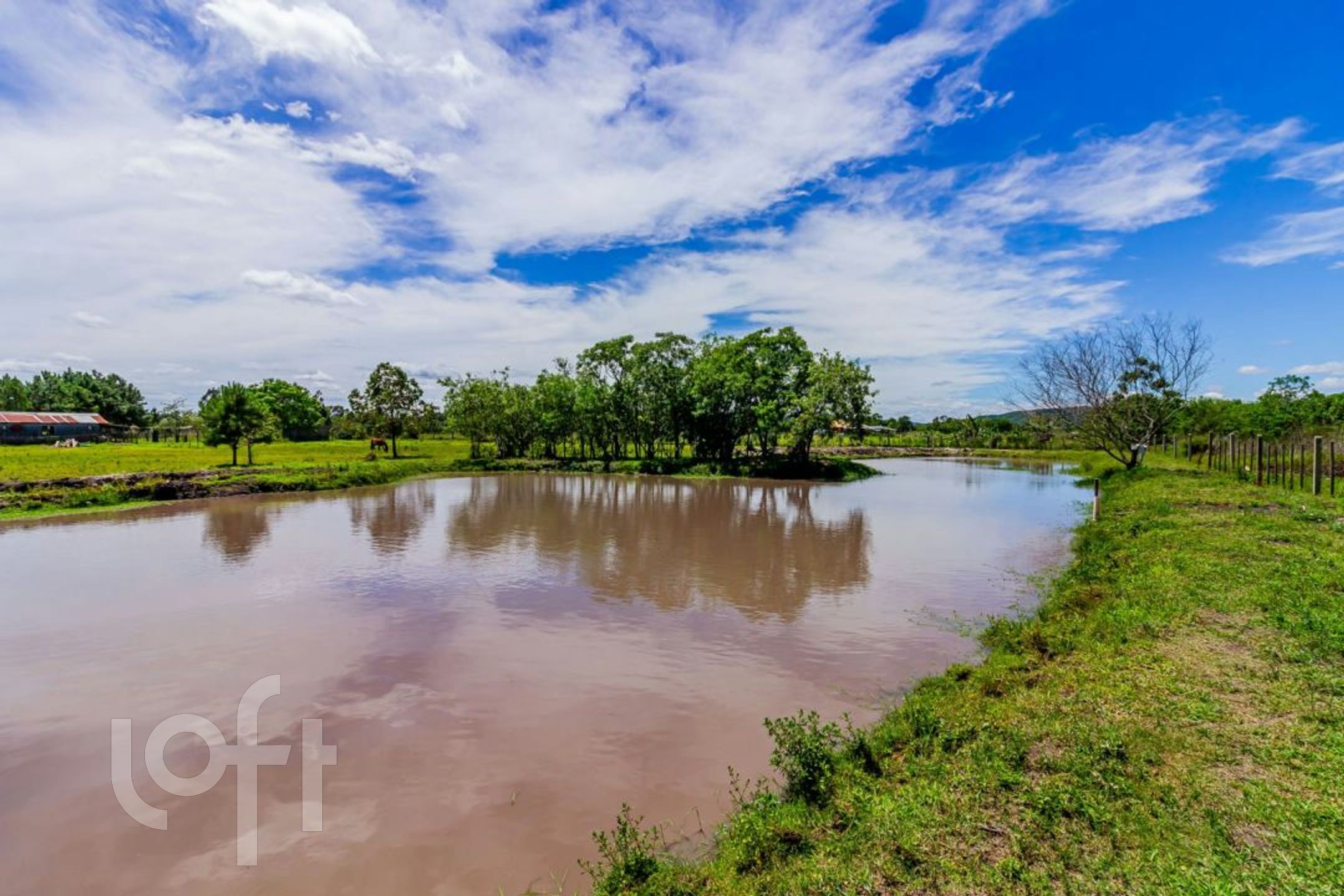 Imagem da propriedade 7