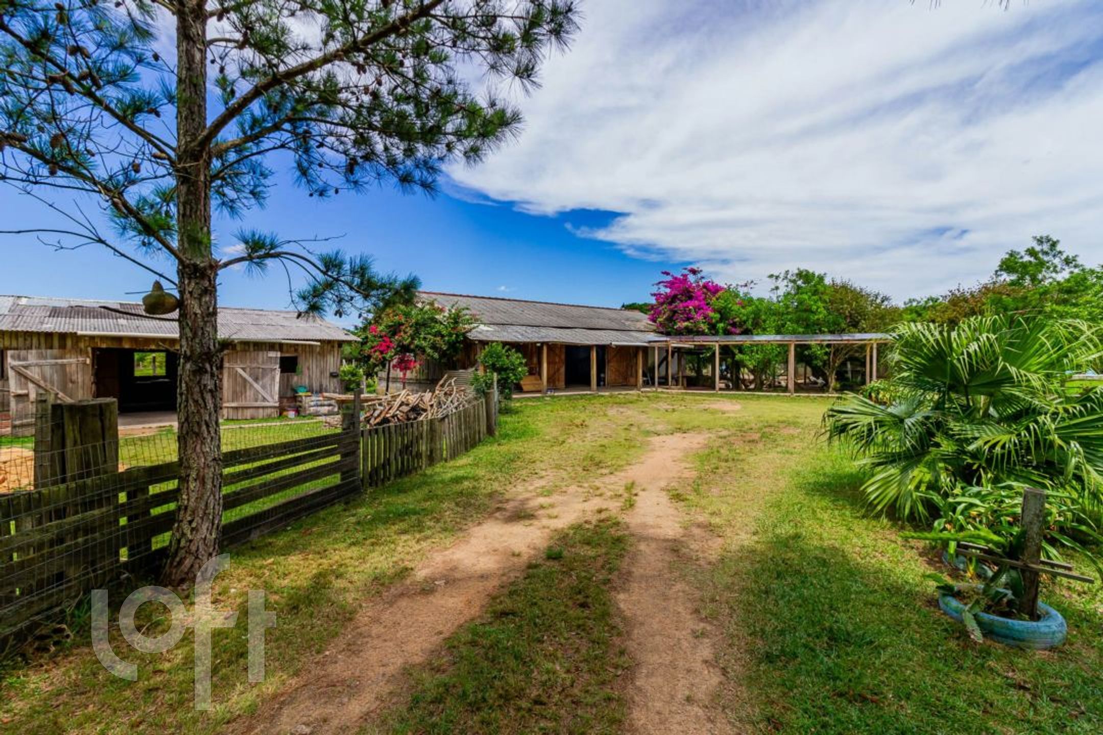 Imagem da propriedade 12