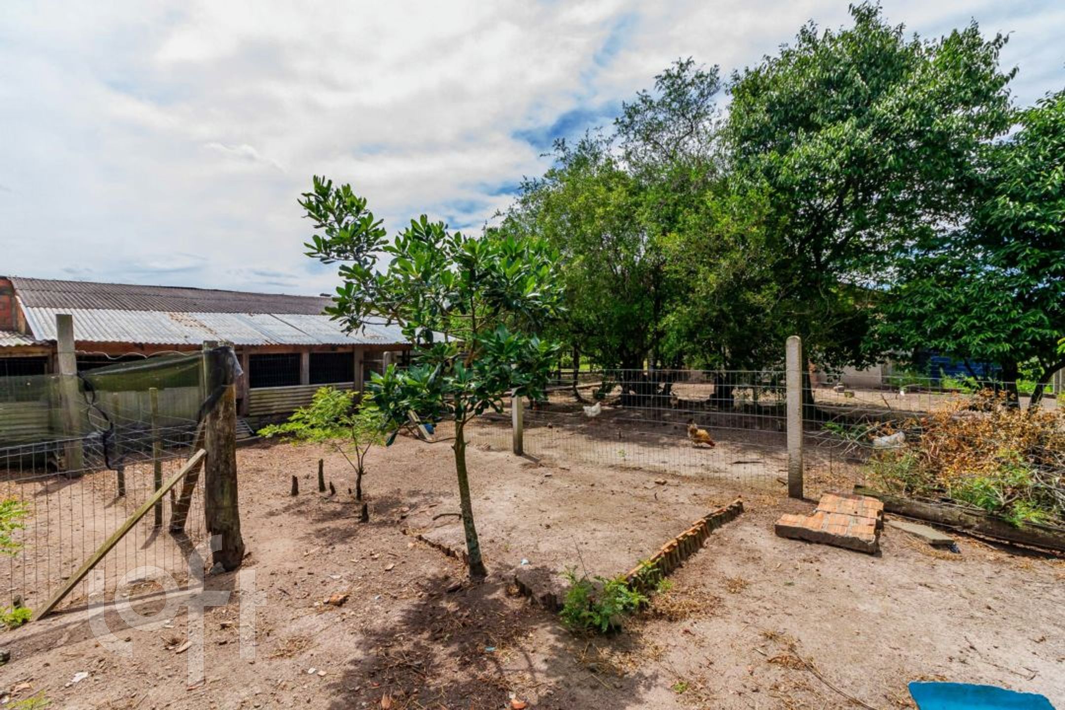 Imagem da propriedade 64