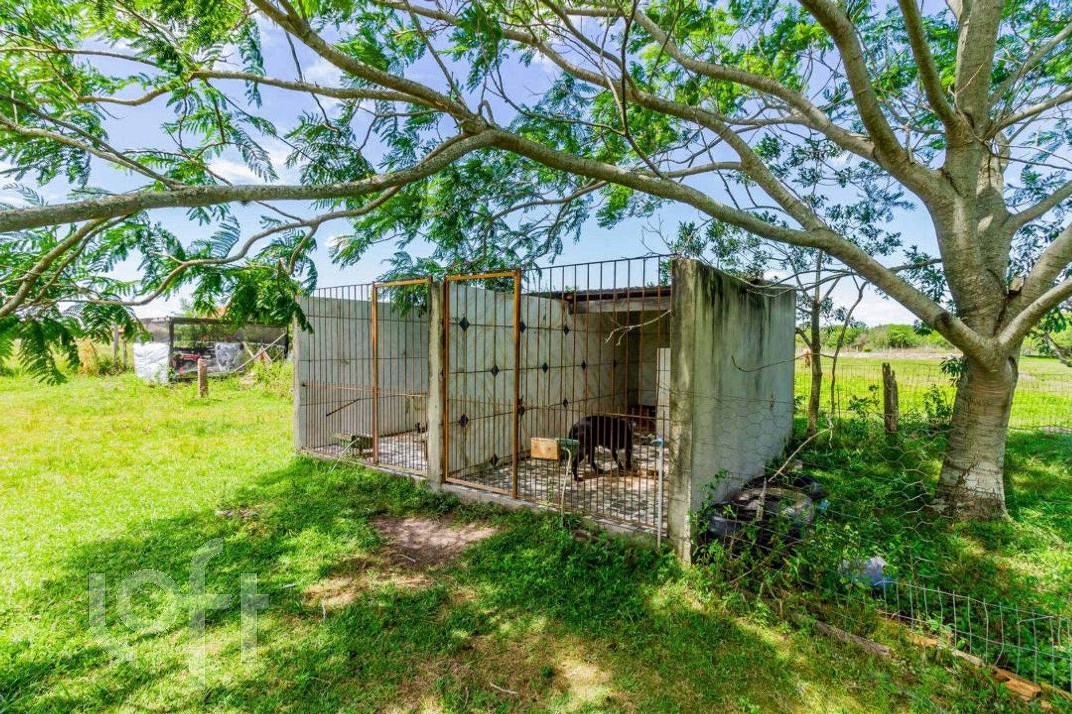 Imagem da propriedade 69