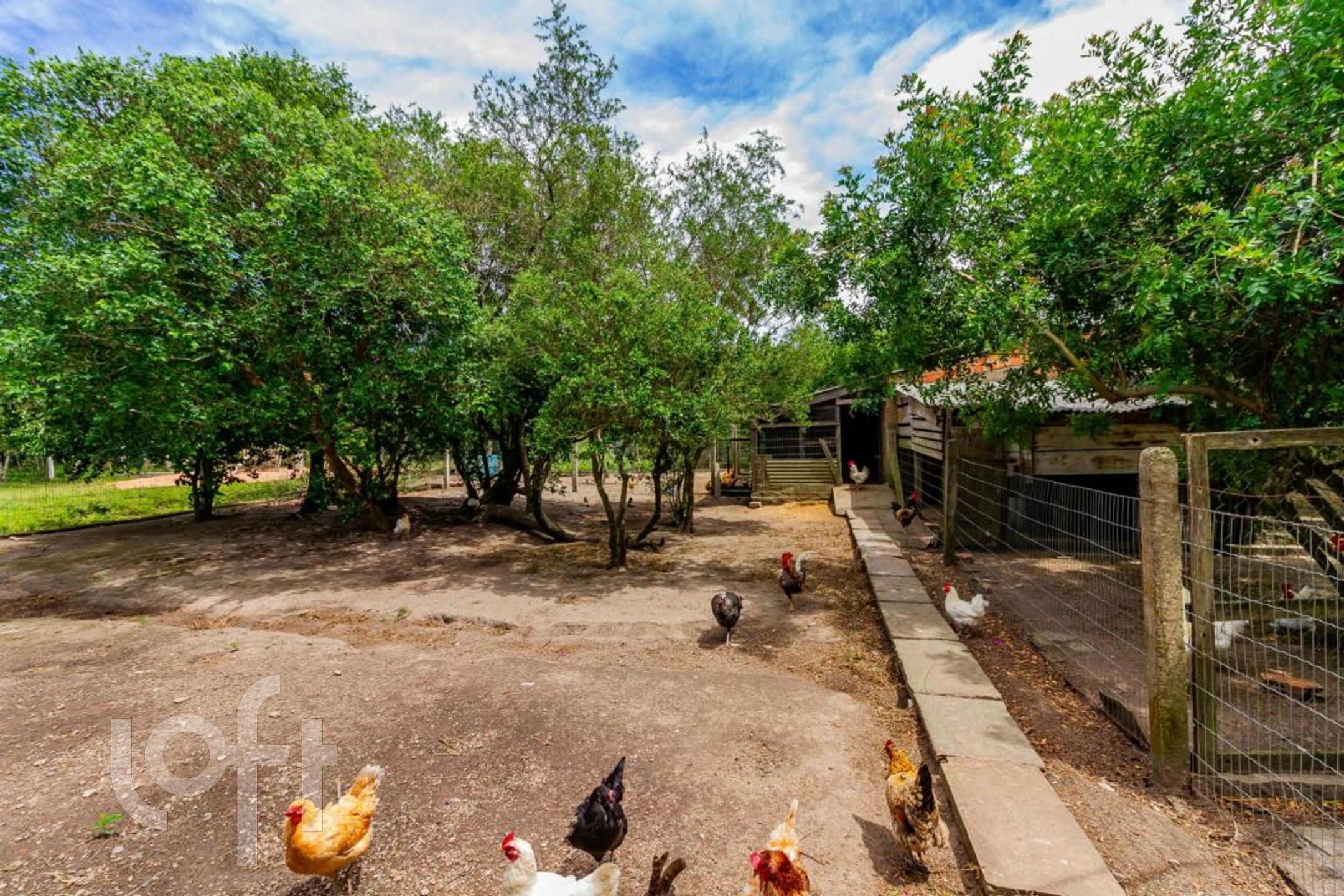 Imagem da propriedade 63