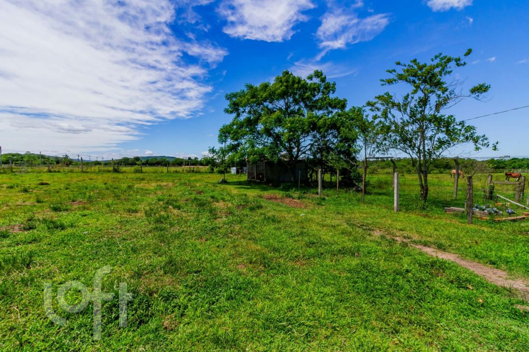 Imagem da propriedade 67