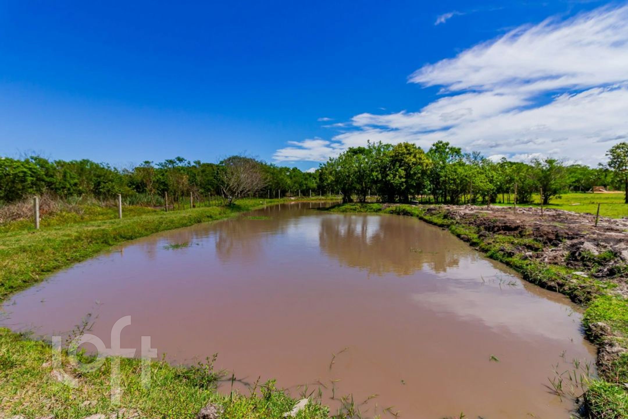 Imagem da propriedade 6