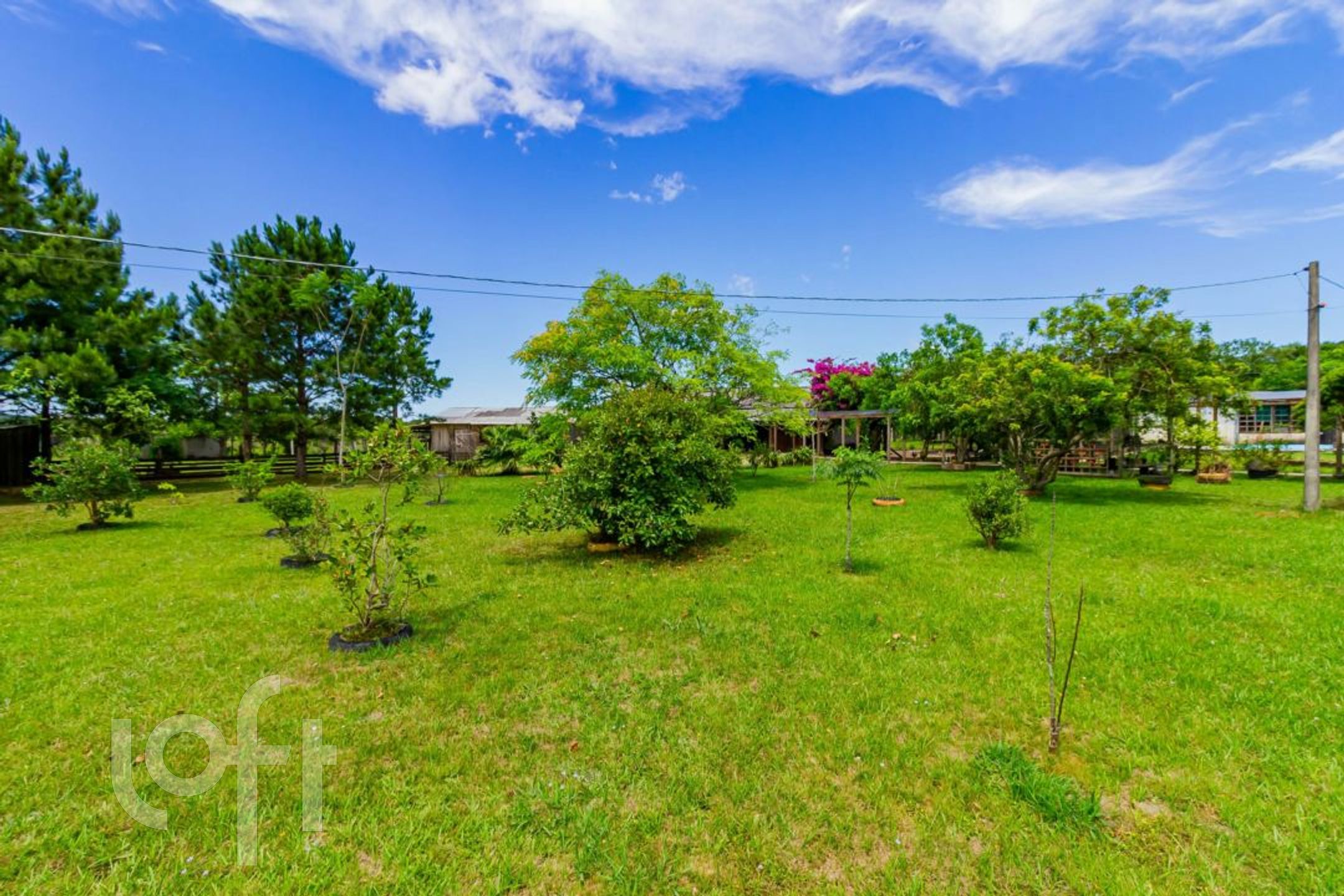 Imagem da propriedade 21