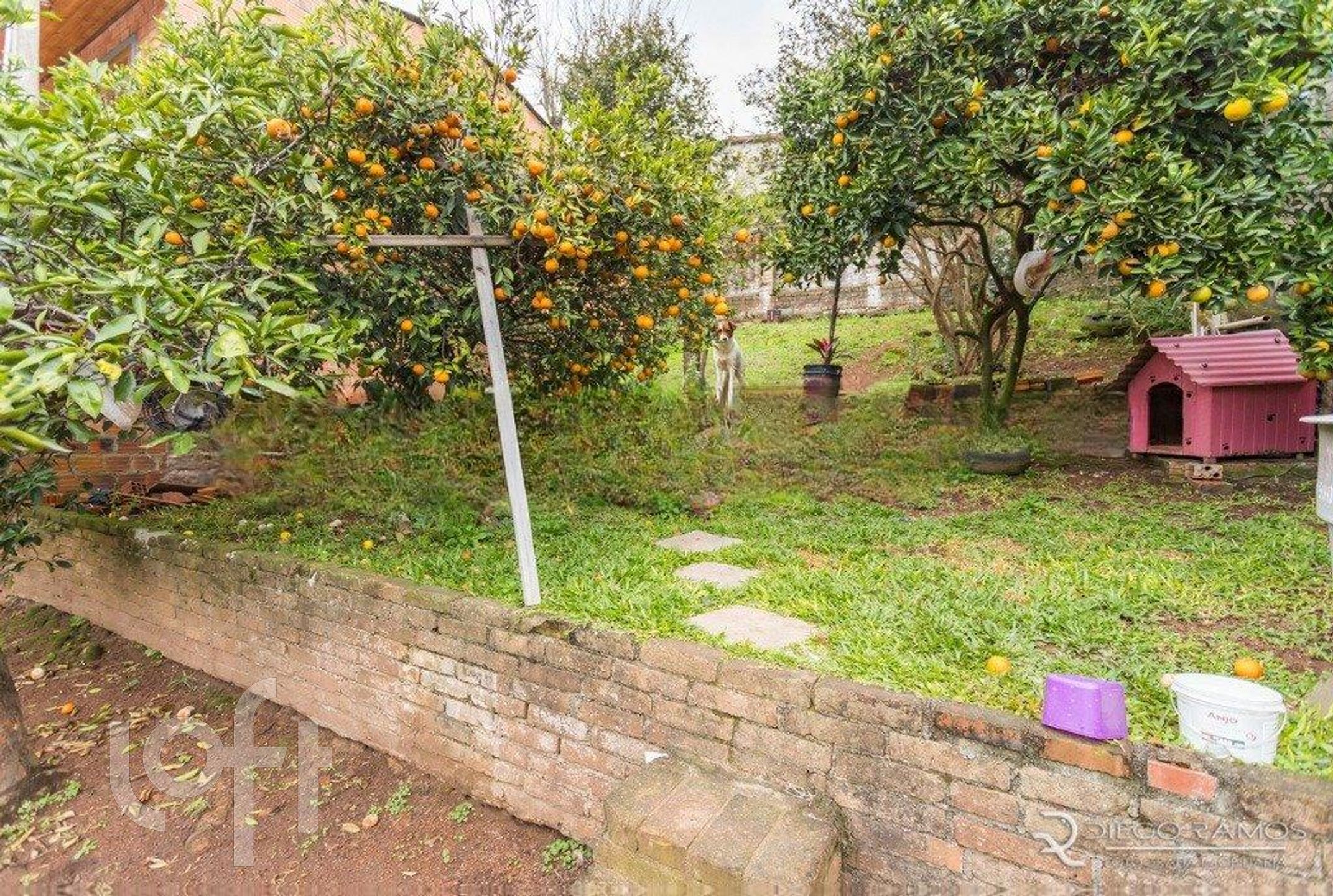 Imagem da propriedade 38