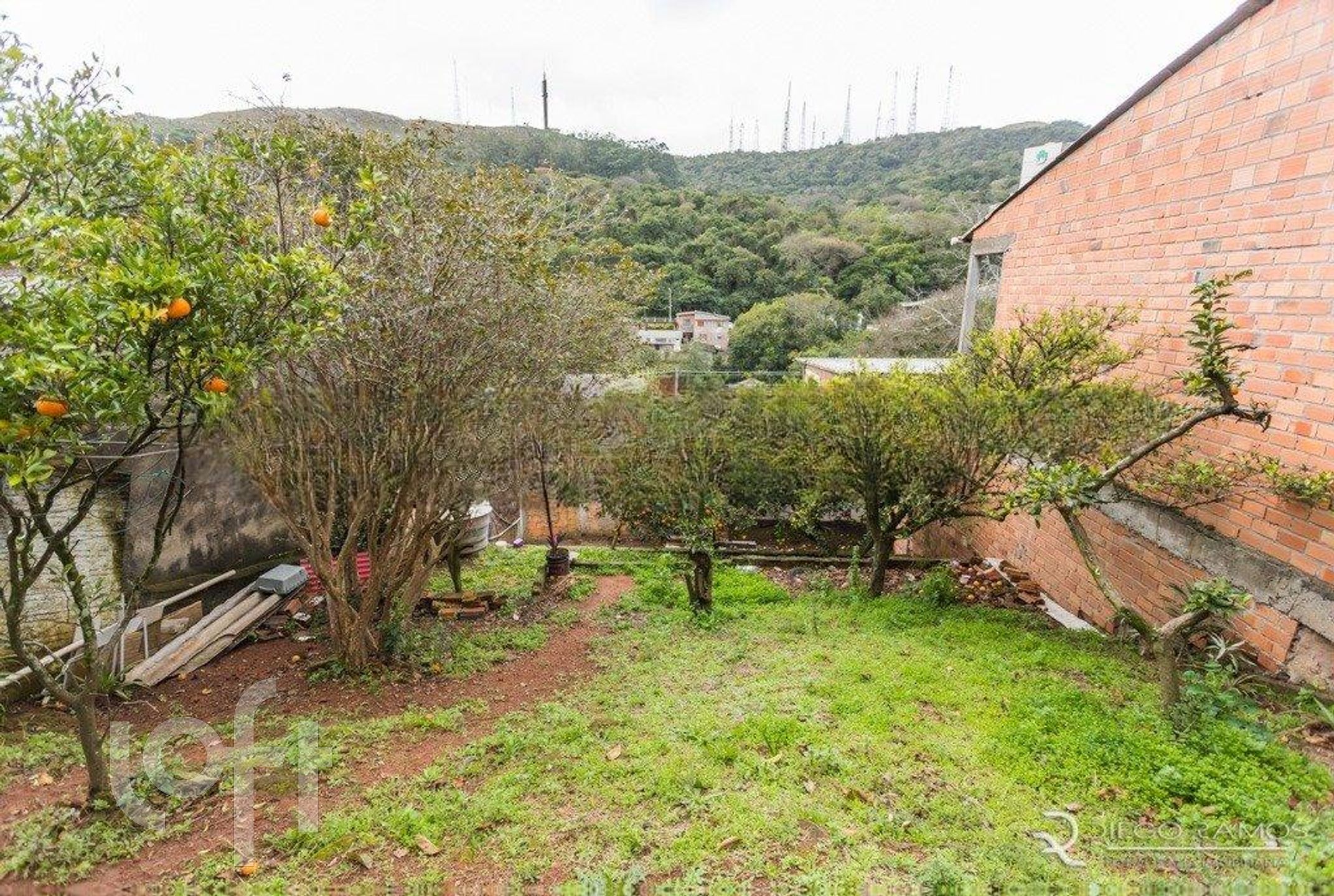 Imagem da propriedade 39