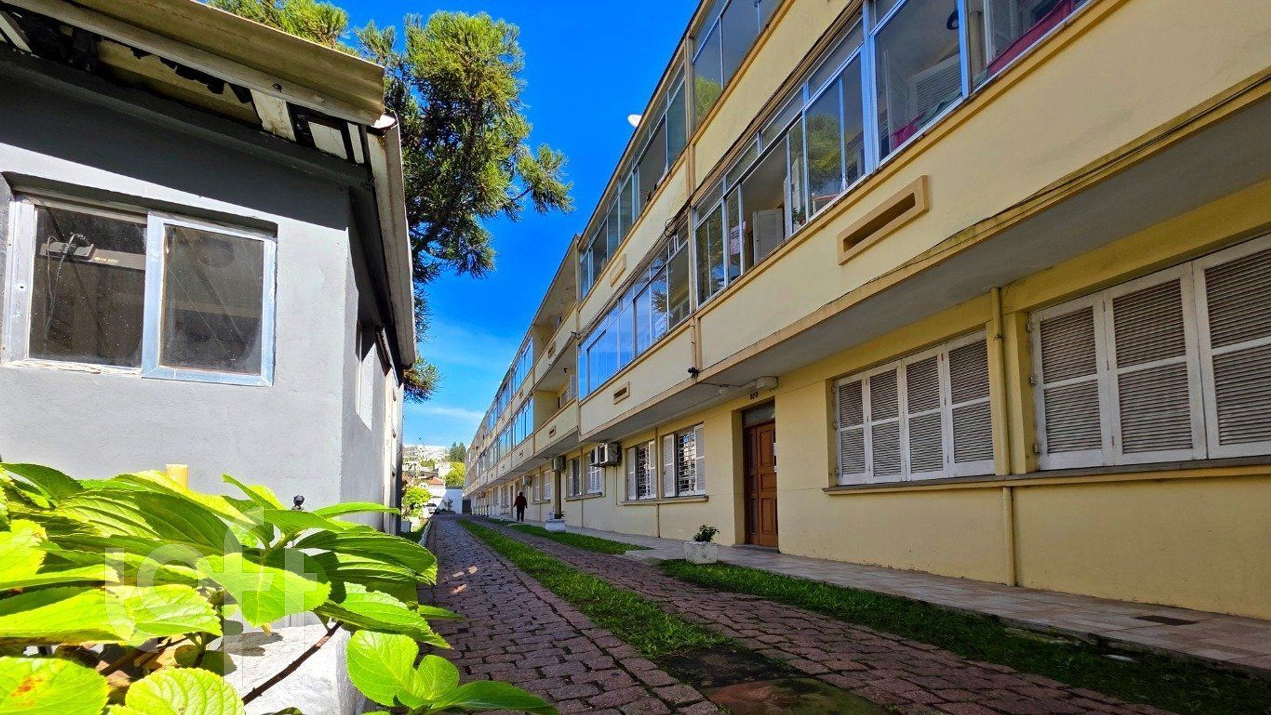 Imagem da propriedade 4