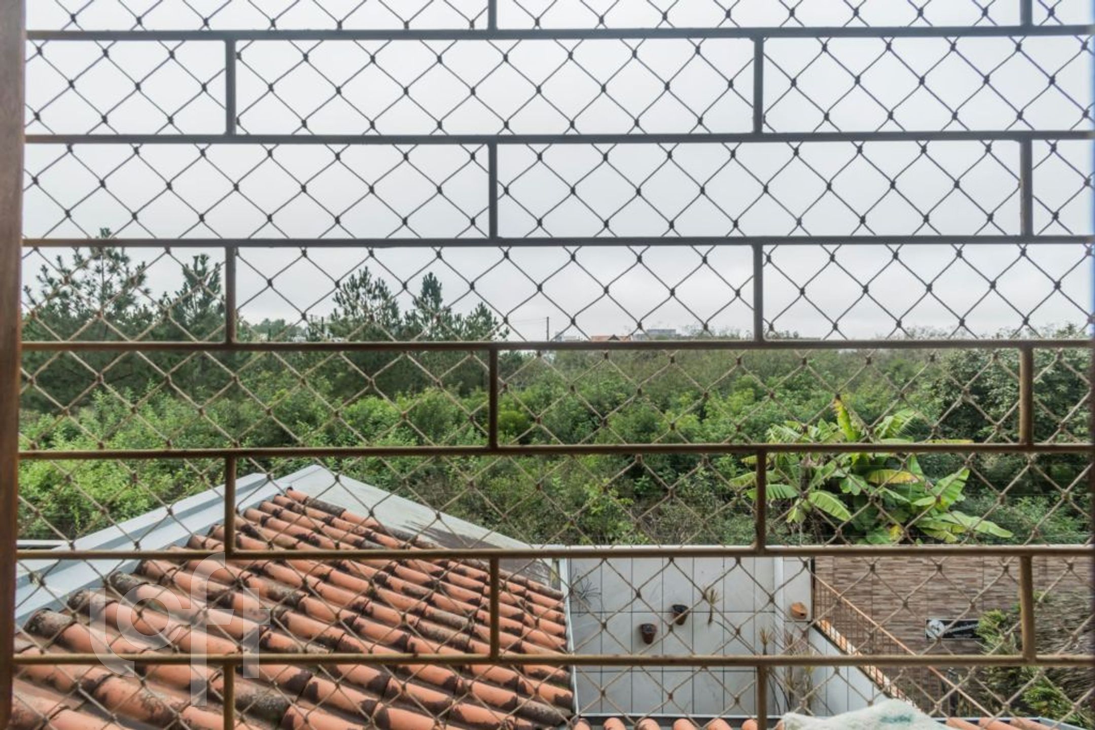 Imagem da propriedade 20