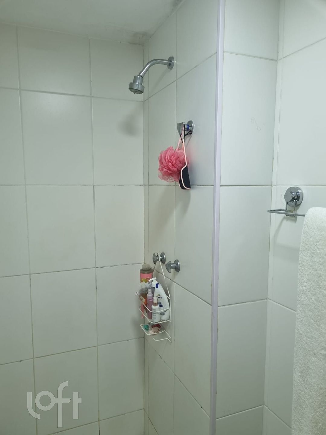 Imagem da propriedade 10