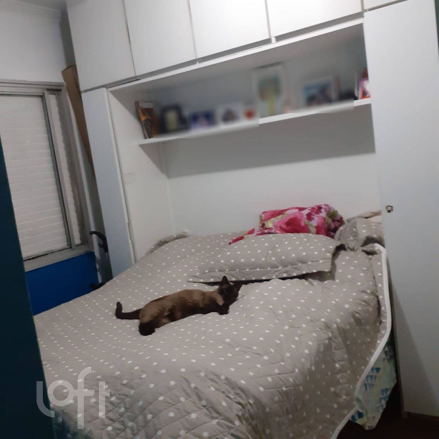 Imagem da propriedade 4