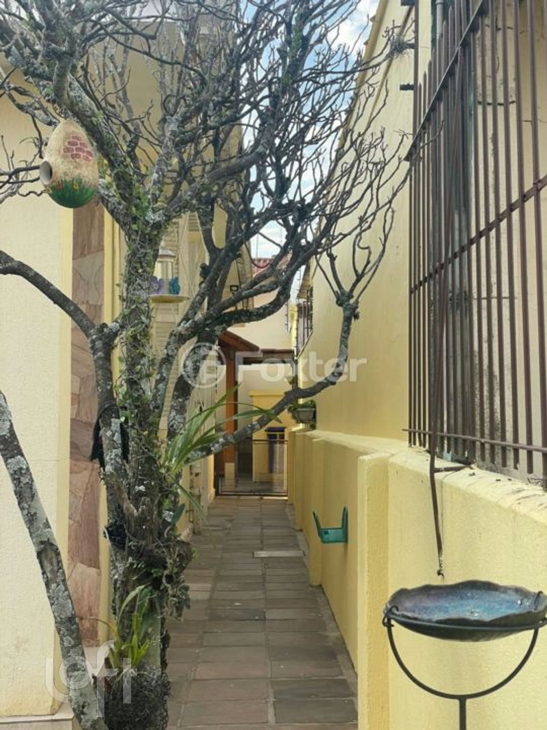 Imagem da propriedade 5