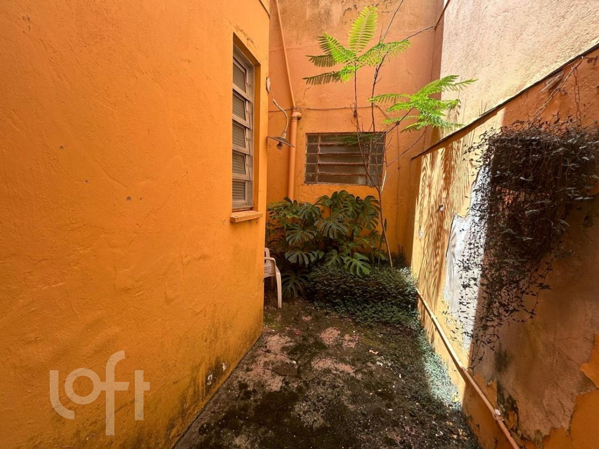 Imagem da propriedade 16