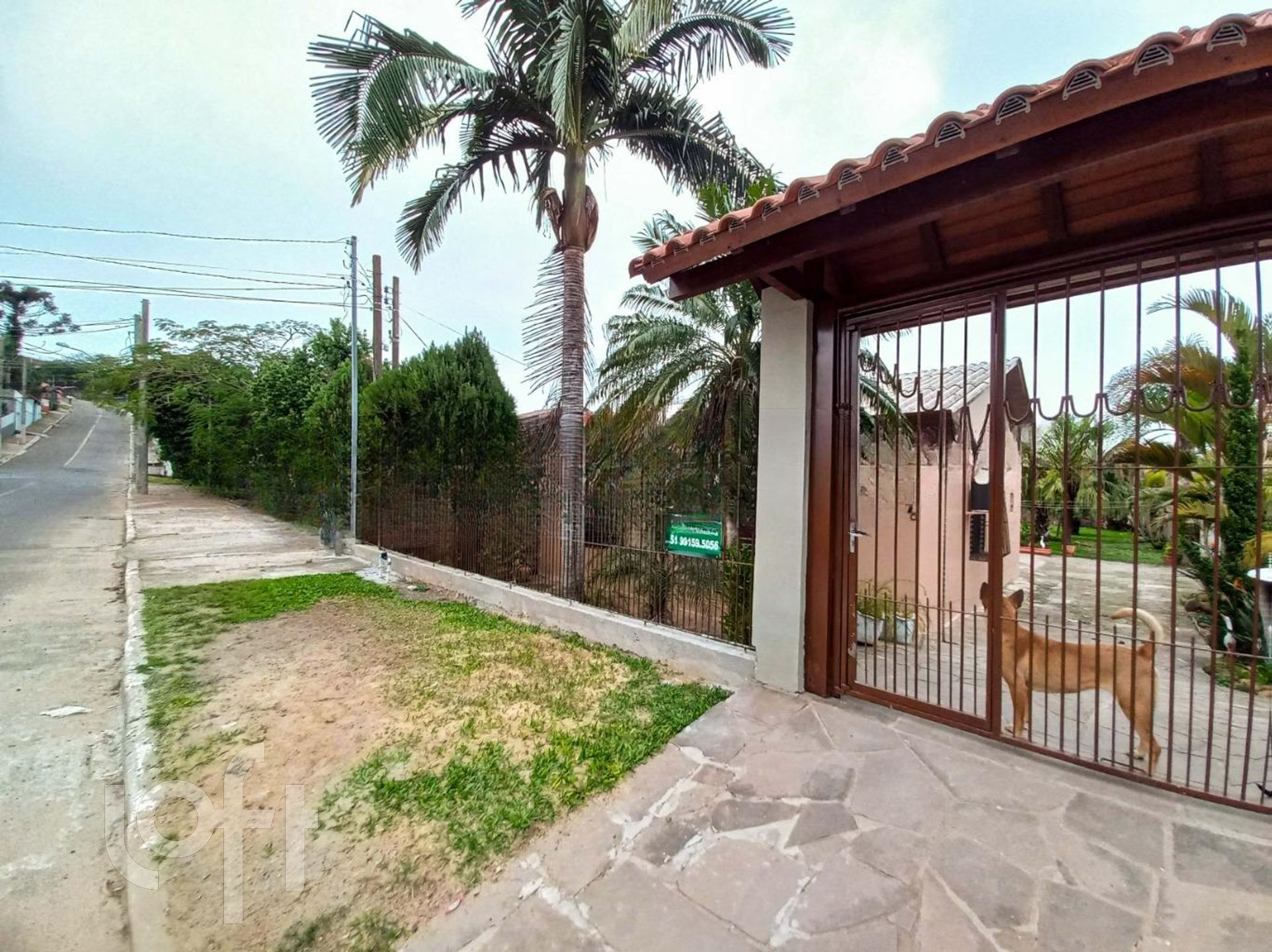 Imagem da propriedade 2