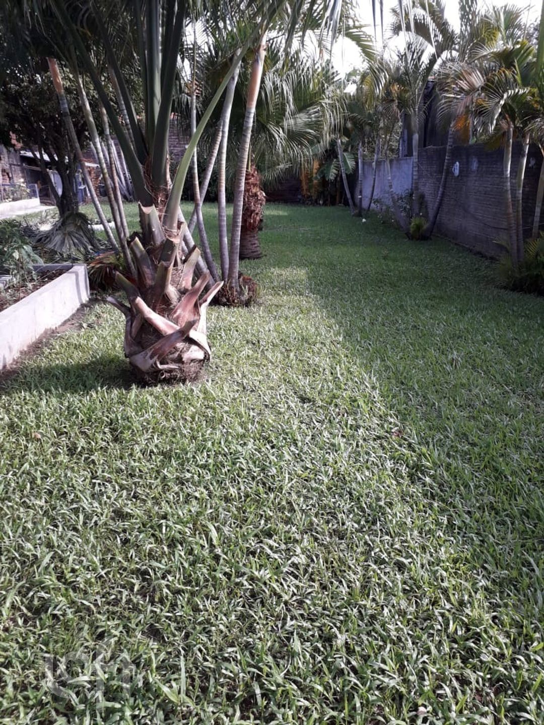 Imagem da propriedade 5