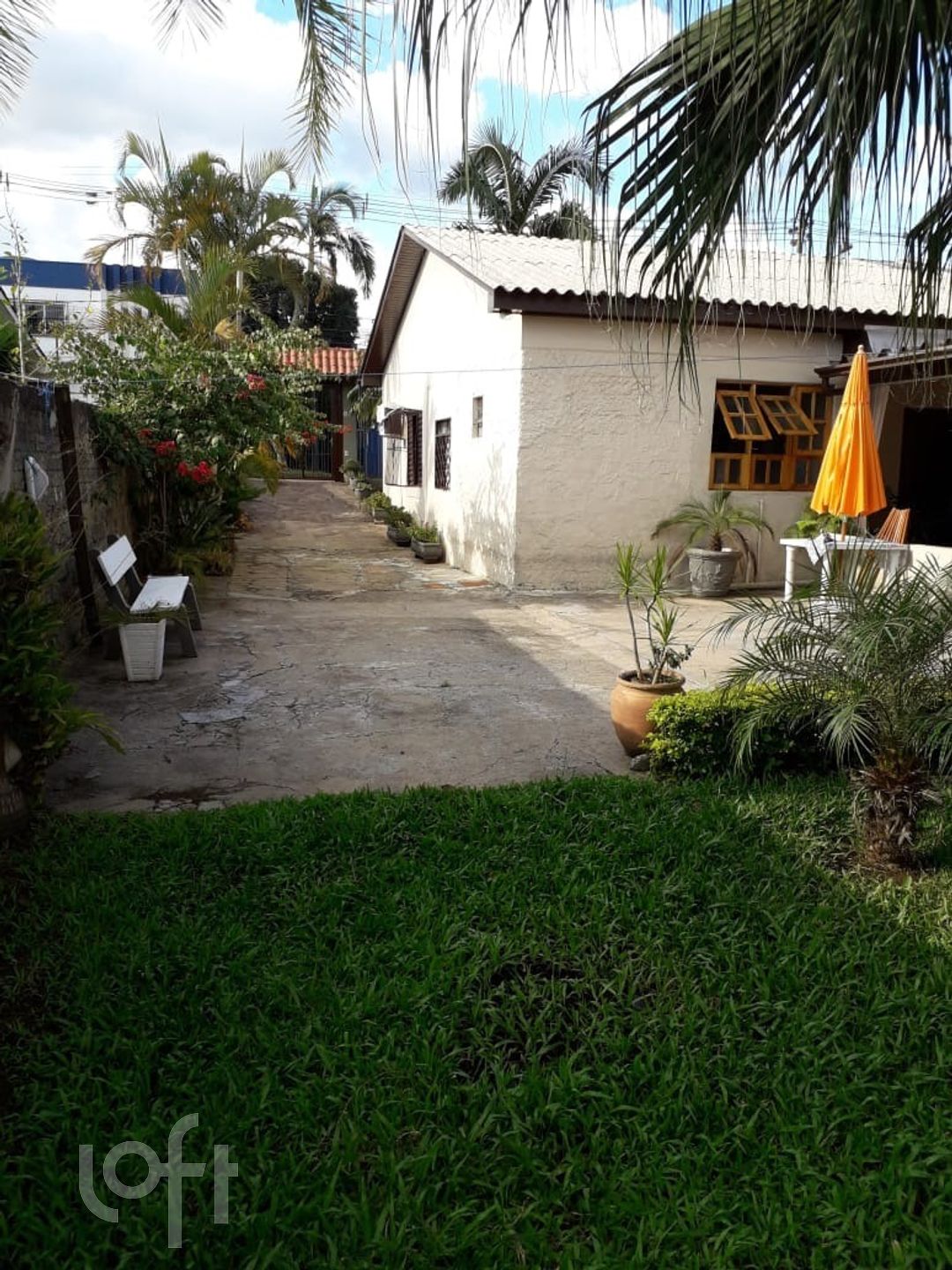 Imagem da propriedade 3