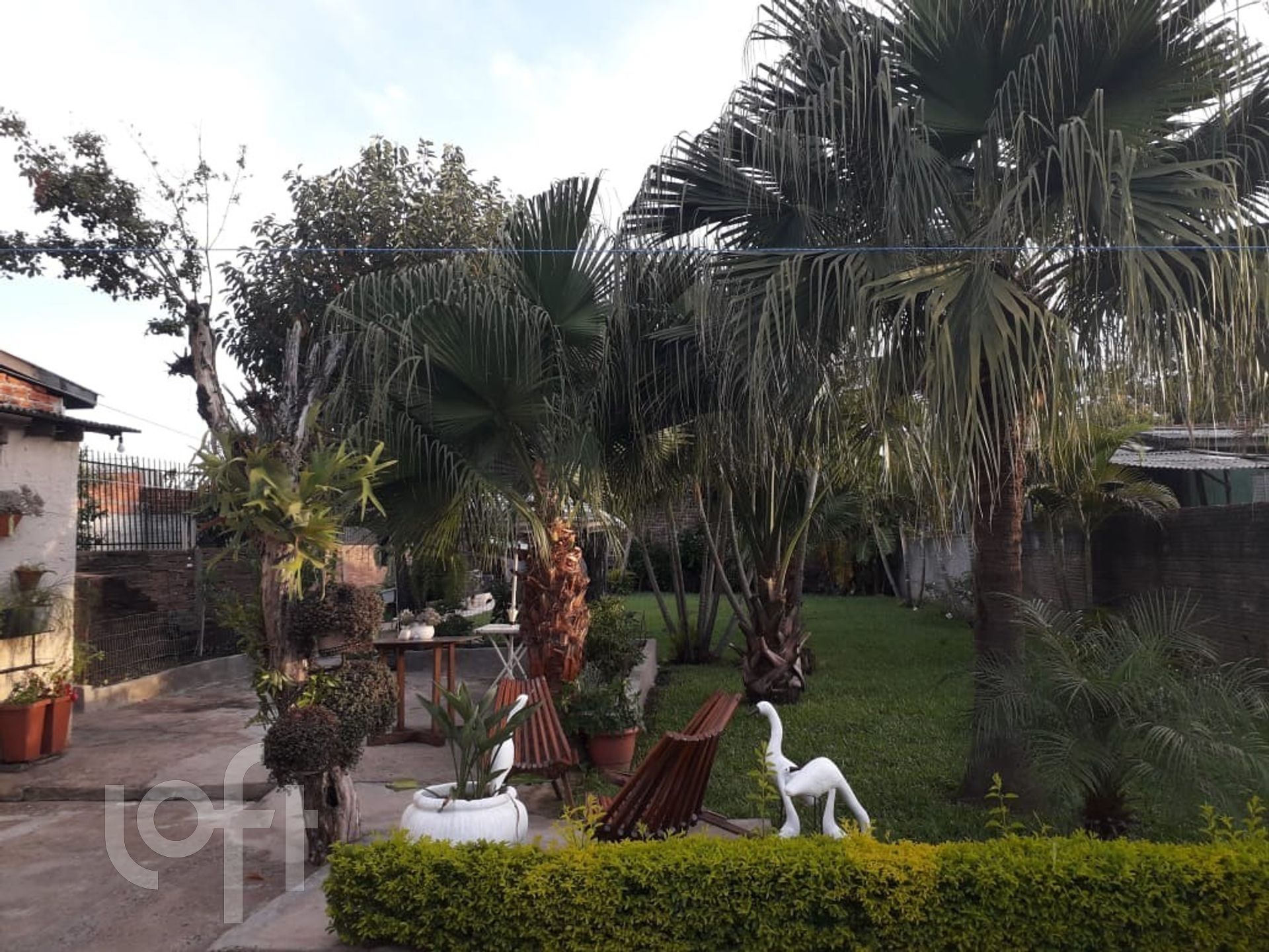 Imagem da propriedade 12