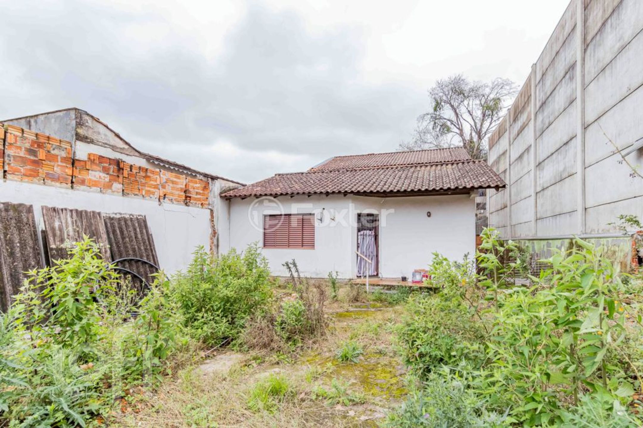 Imagem da propriedade 28