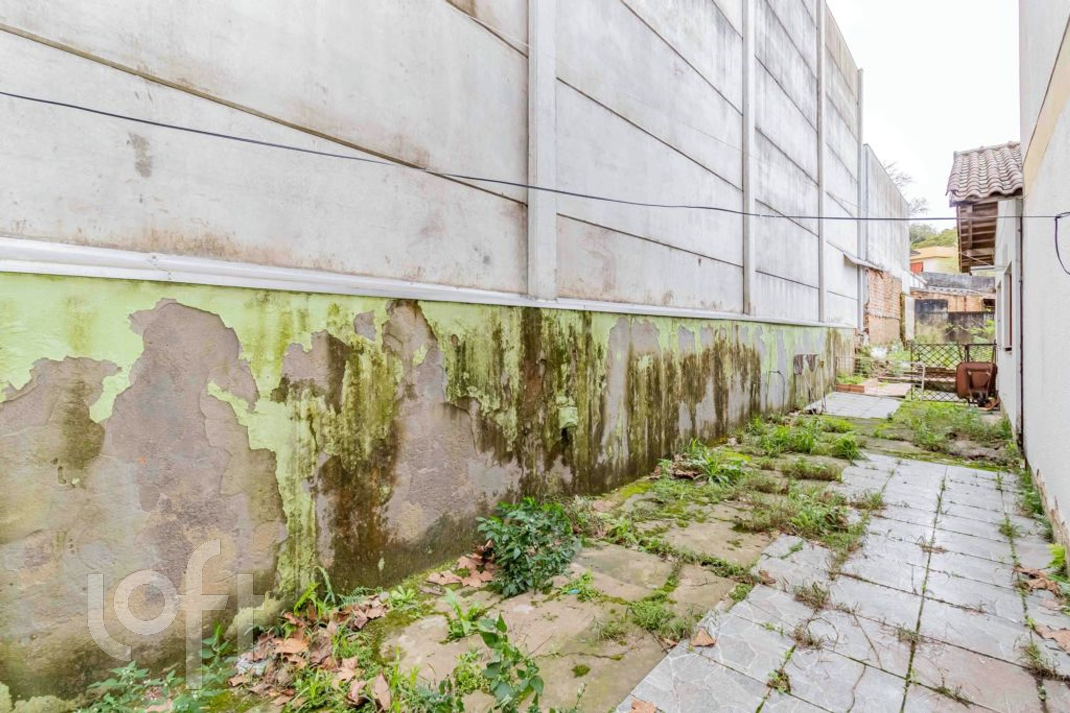 Imagem da propriedade 31