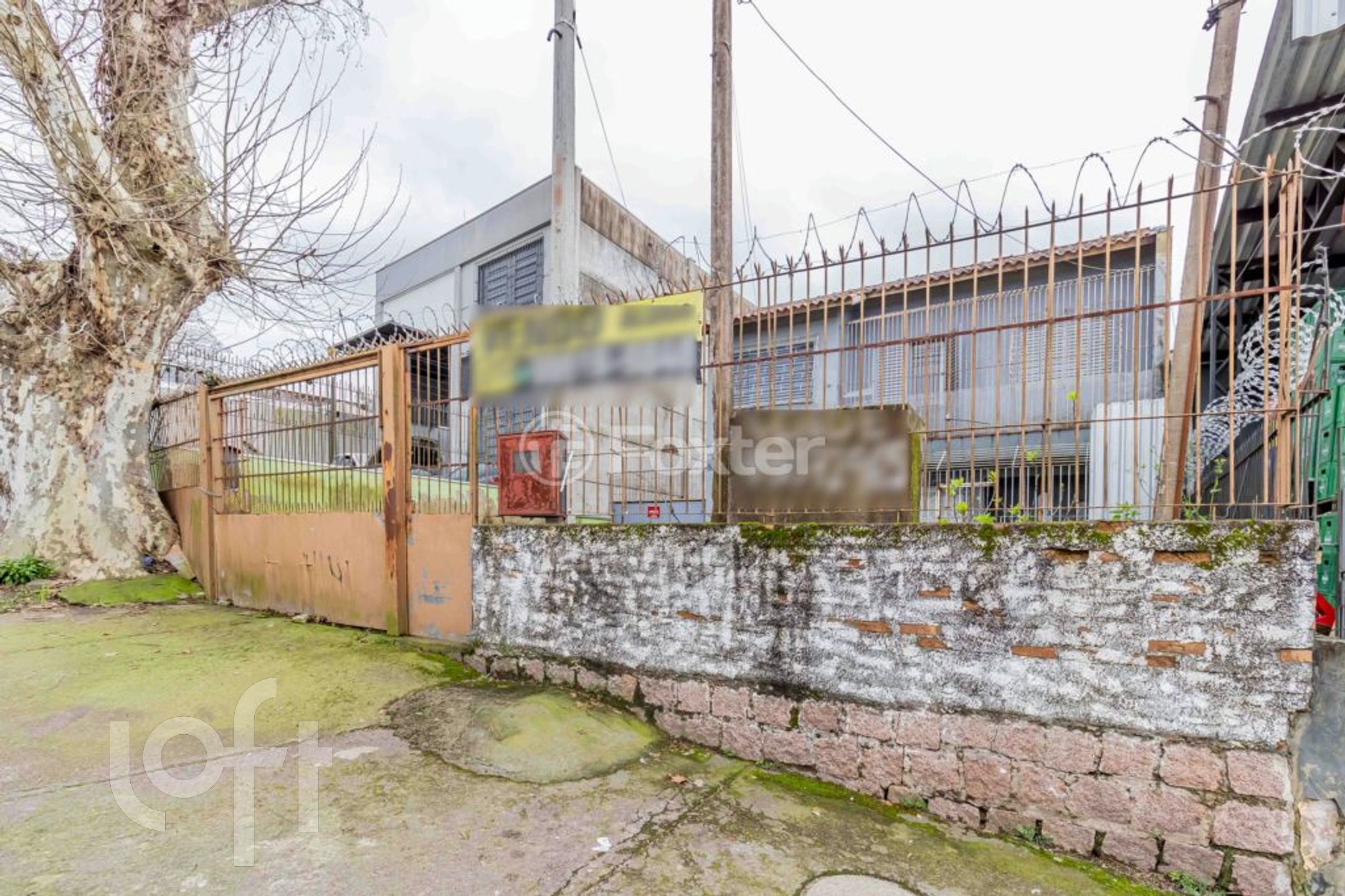 Imagem da propriedade 41