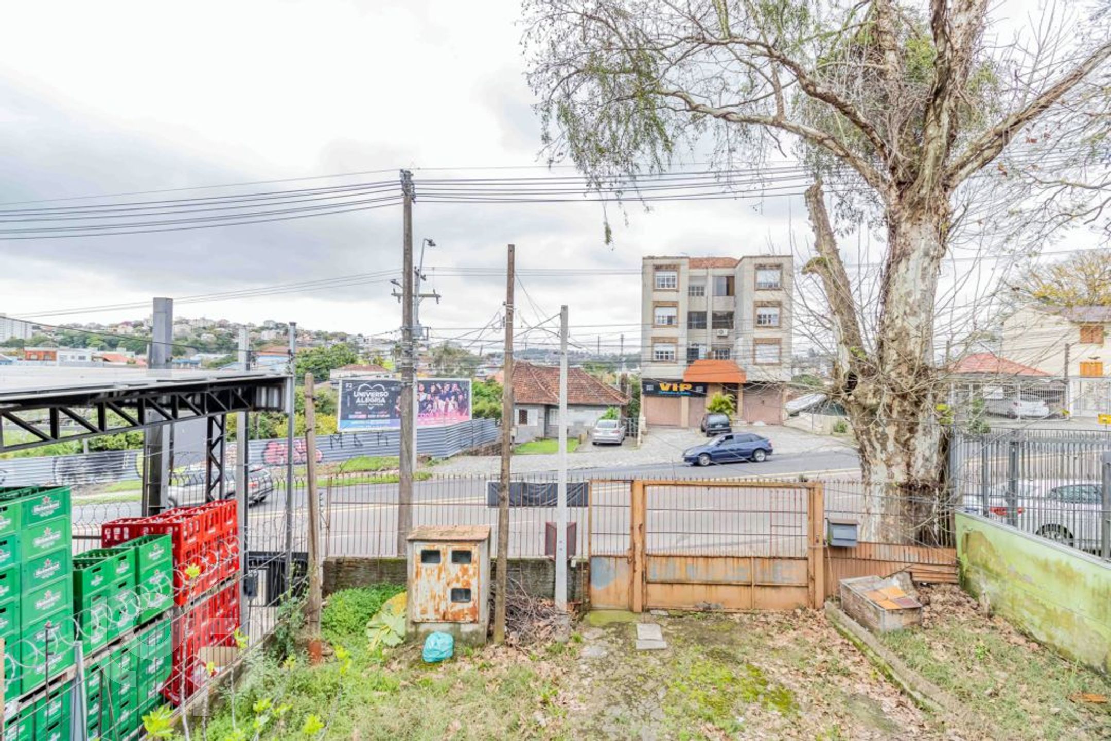 Imagem da propriedade 20