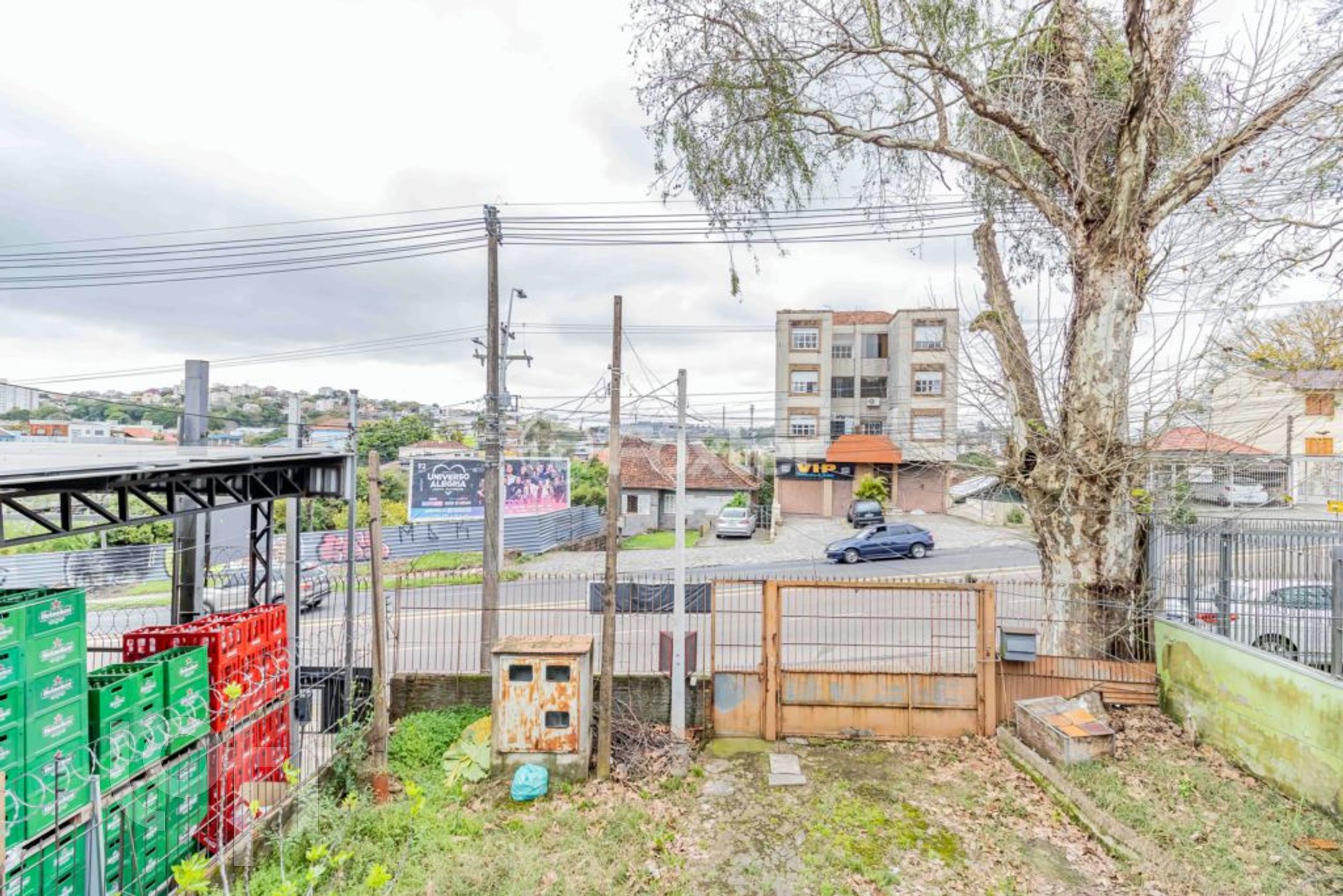 Imagem da propriedade 20