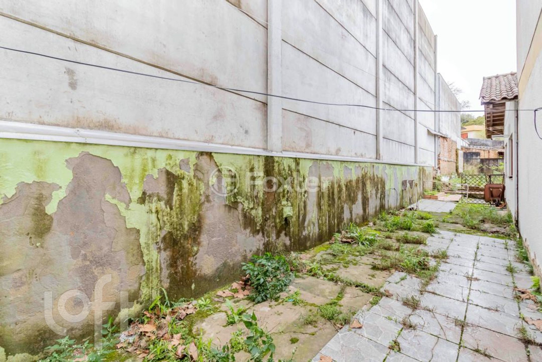 Imagem da propriedade 31