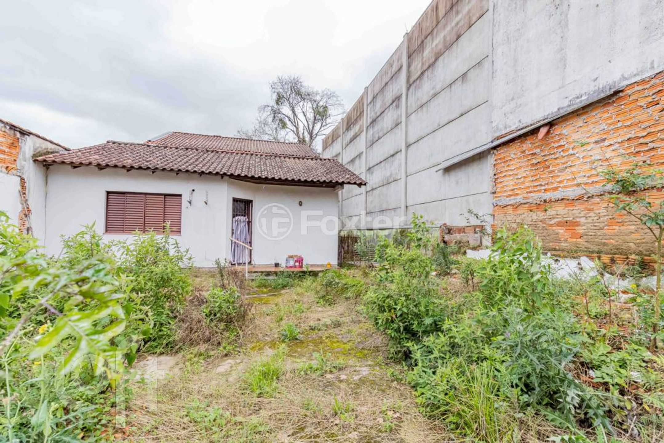 Imagem da propriedade 27