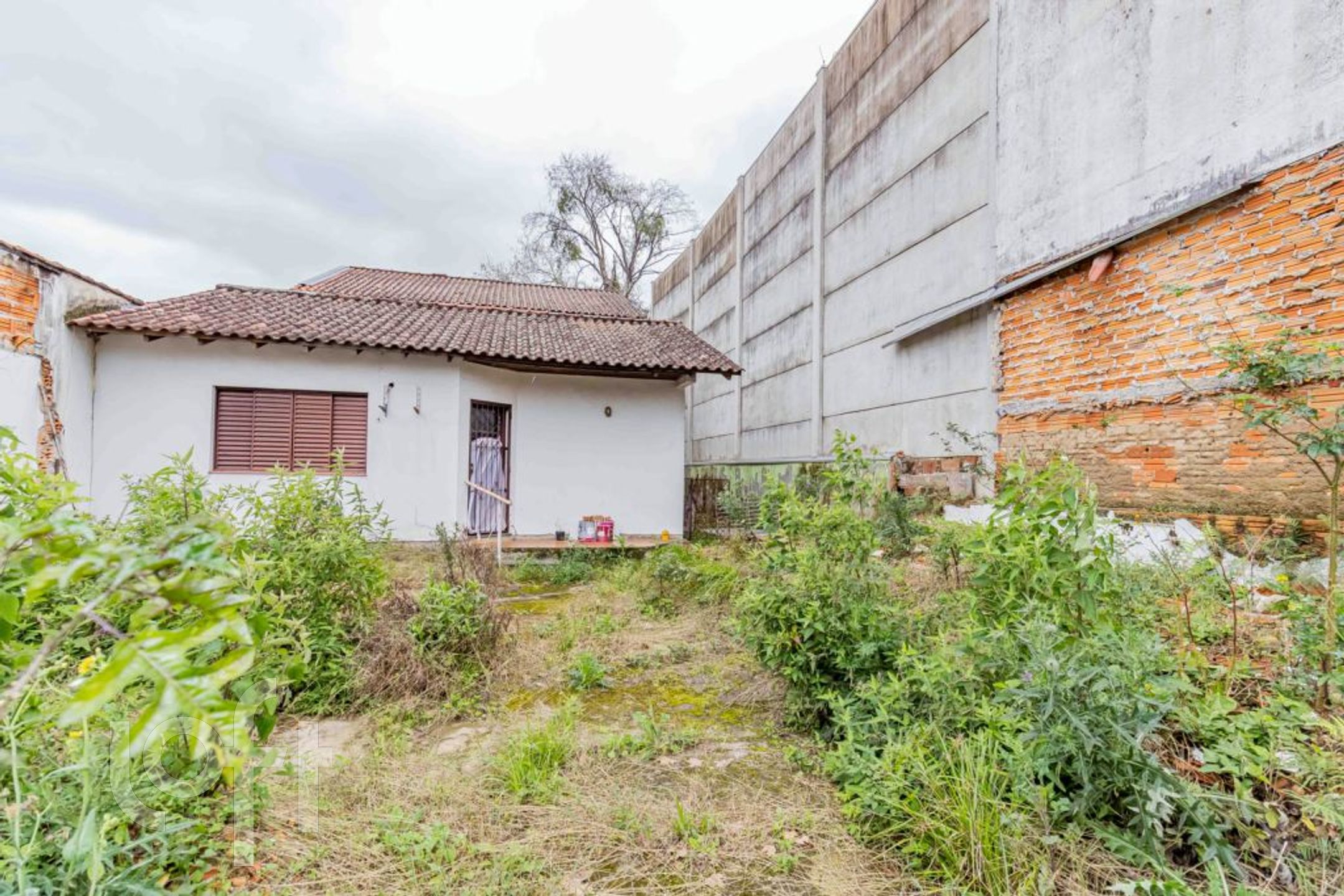 Imagem da propriedade 27