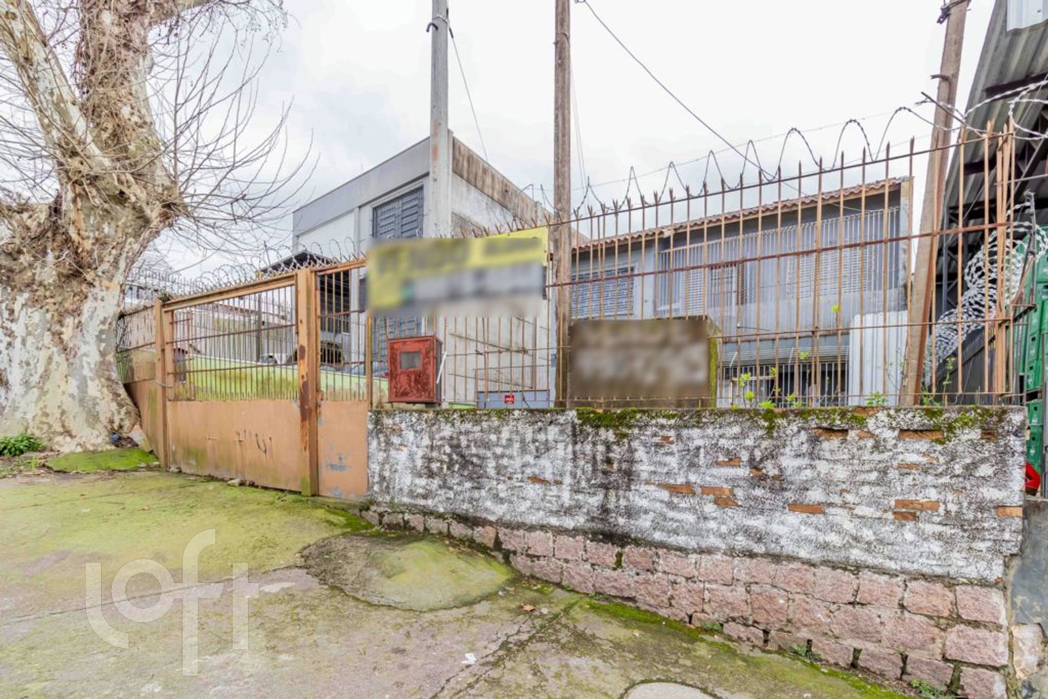 Imagem da propriedade 41