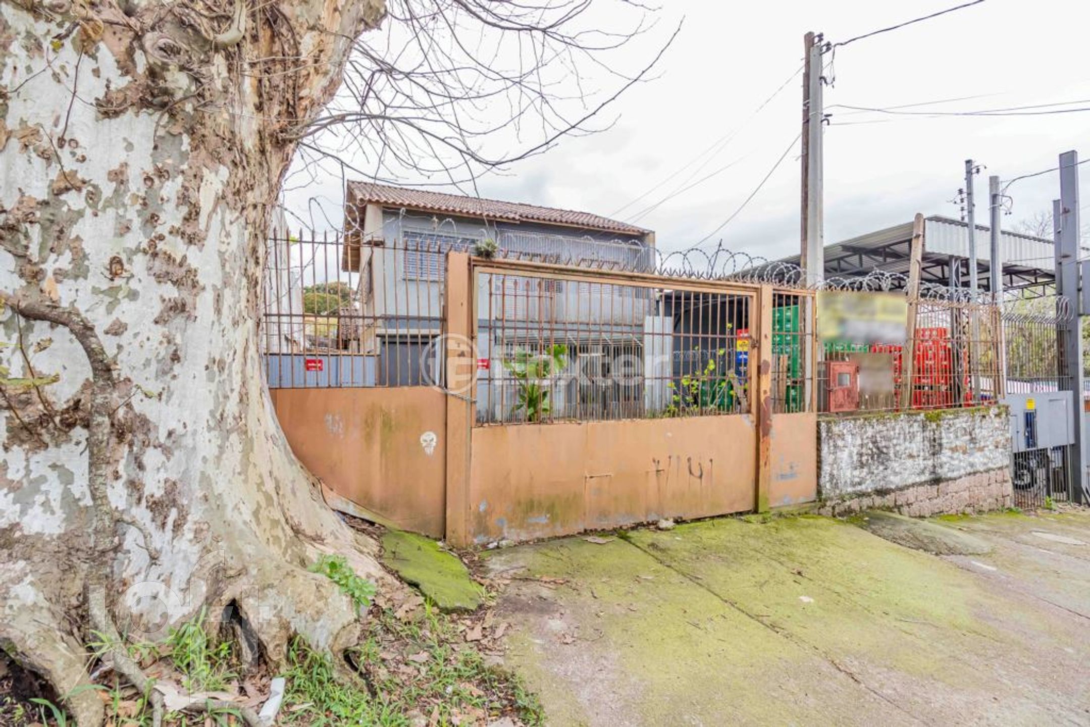 Imagem da propriedade 37