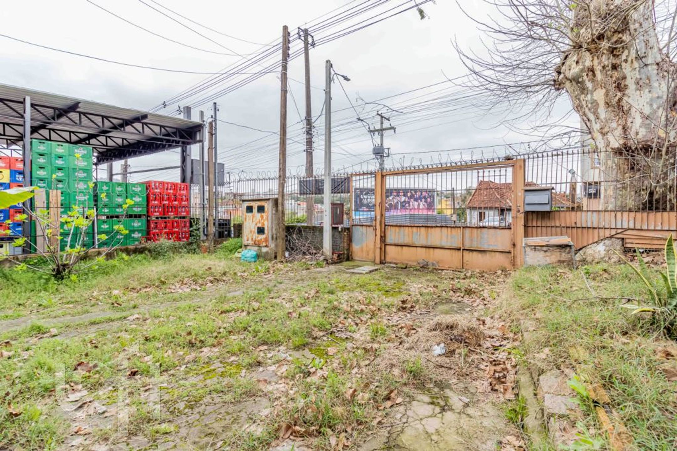 Imagem da propriedade 42