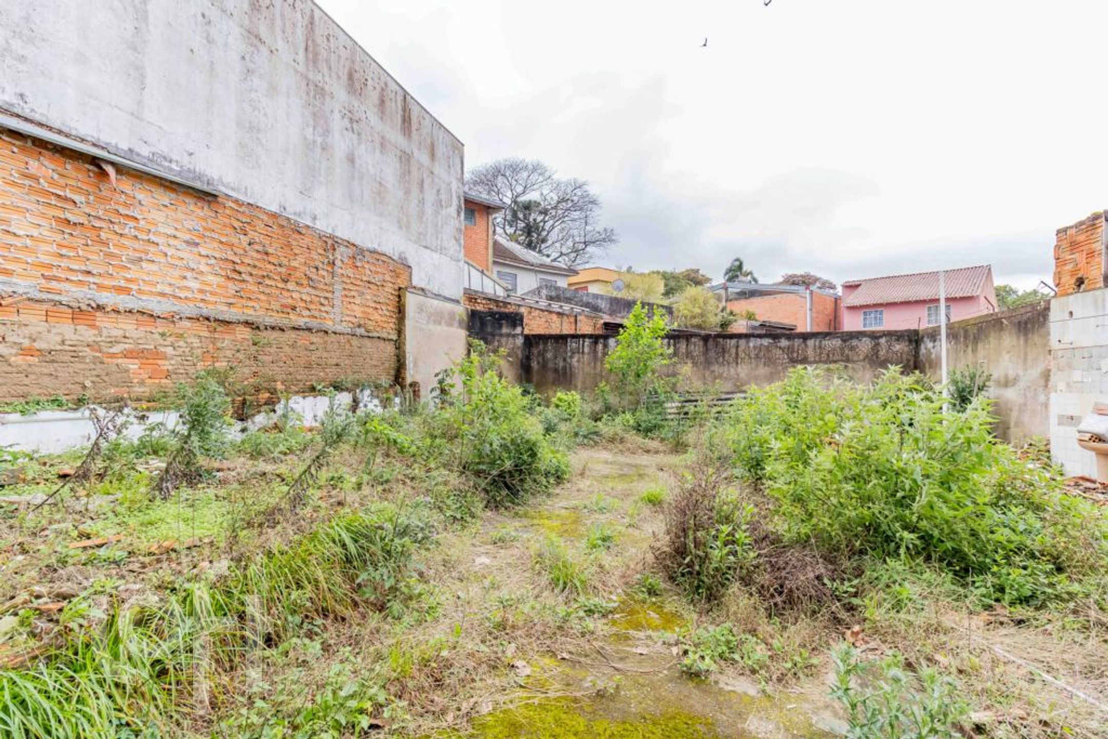 Imagem da propriedade 26