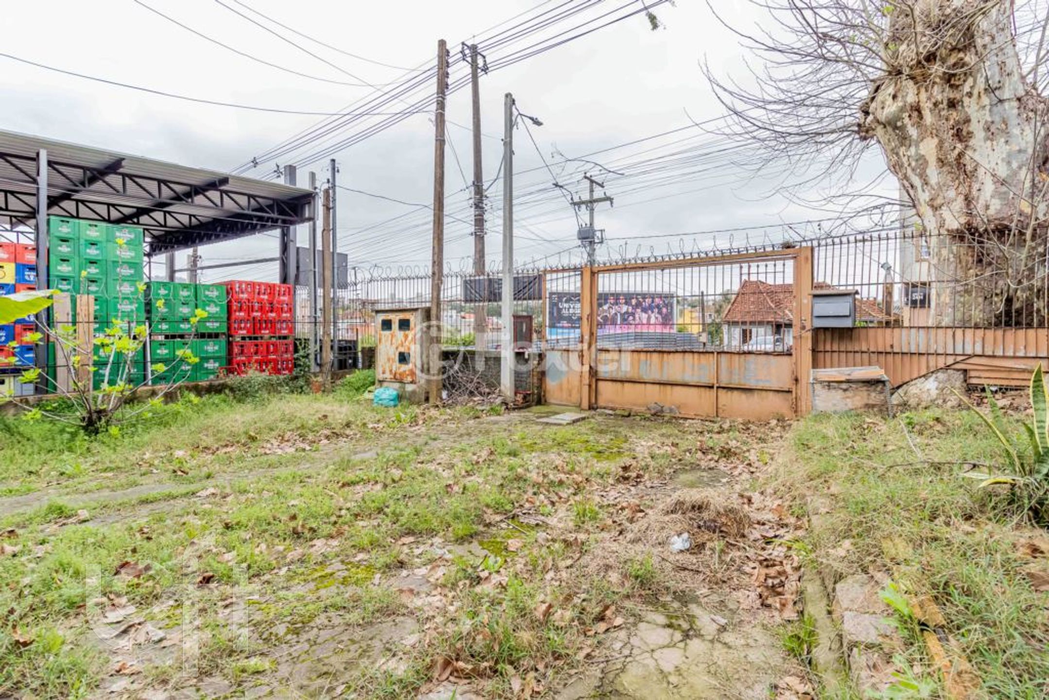 Imagem da propriedade 42