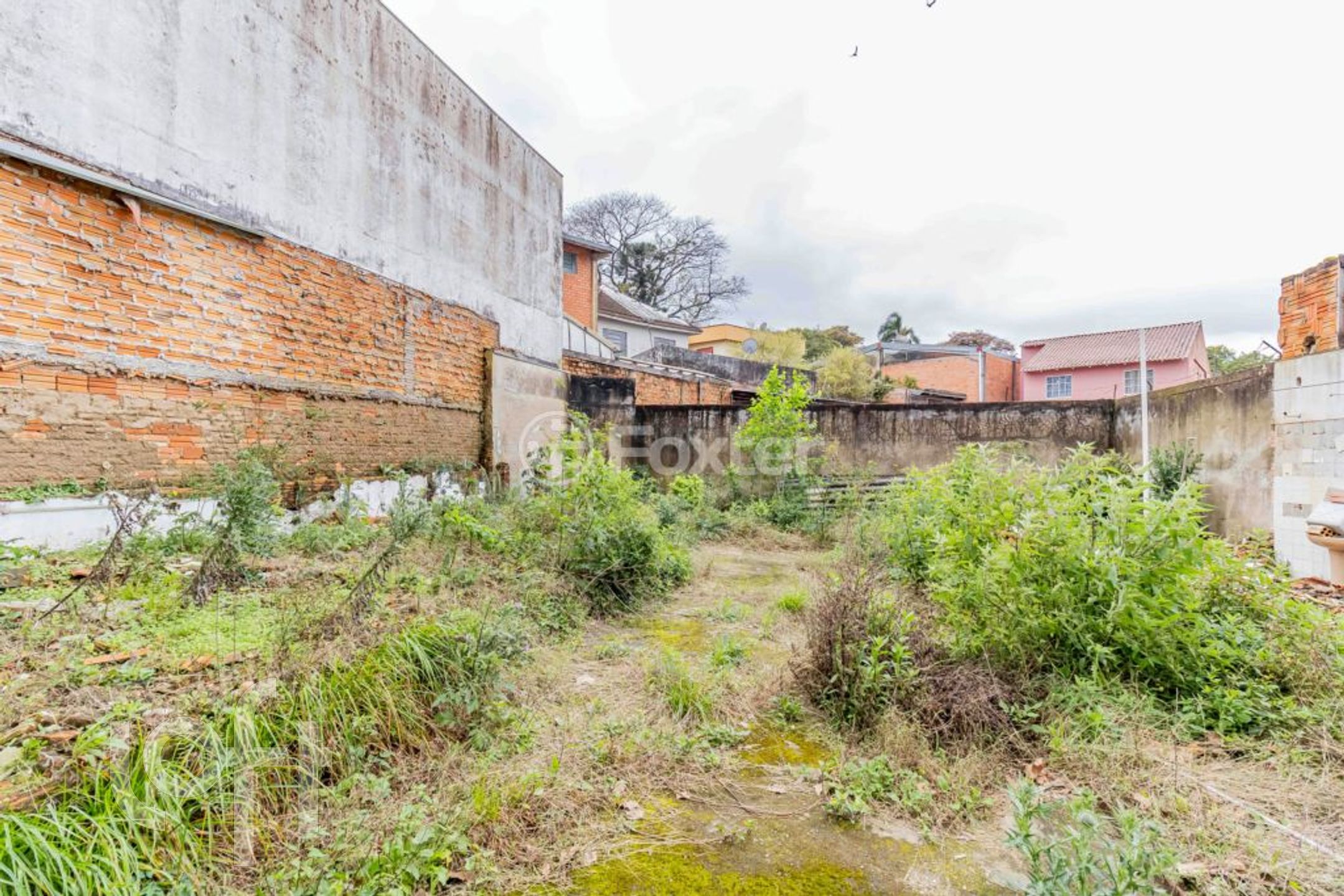 Imagem da propriedade 26