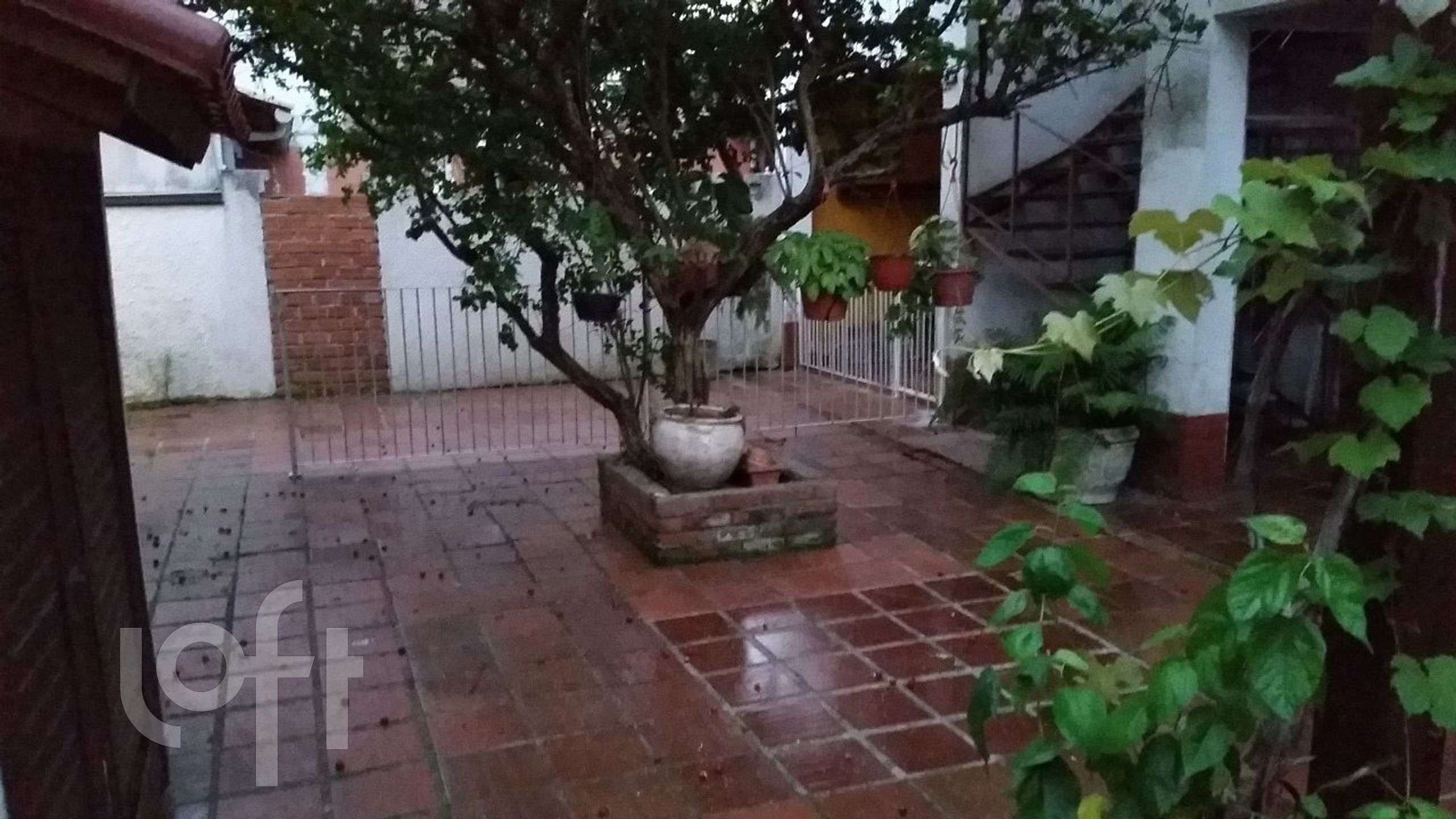 Imagem da propriedade 28