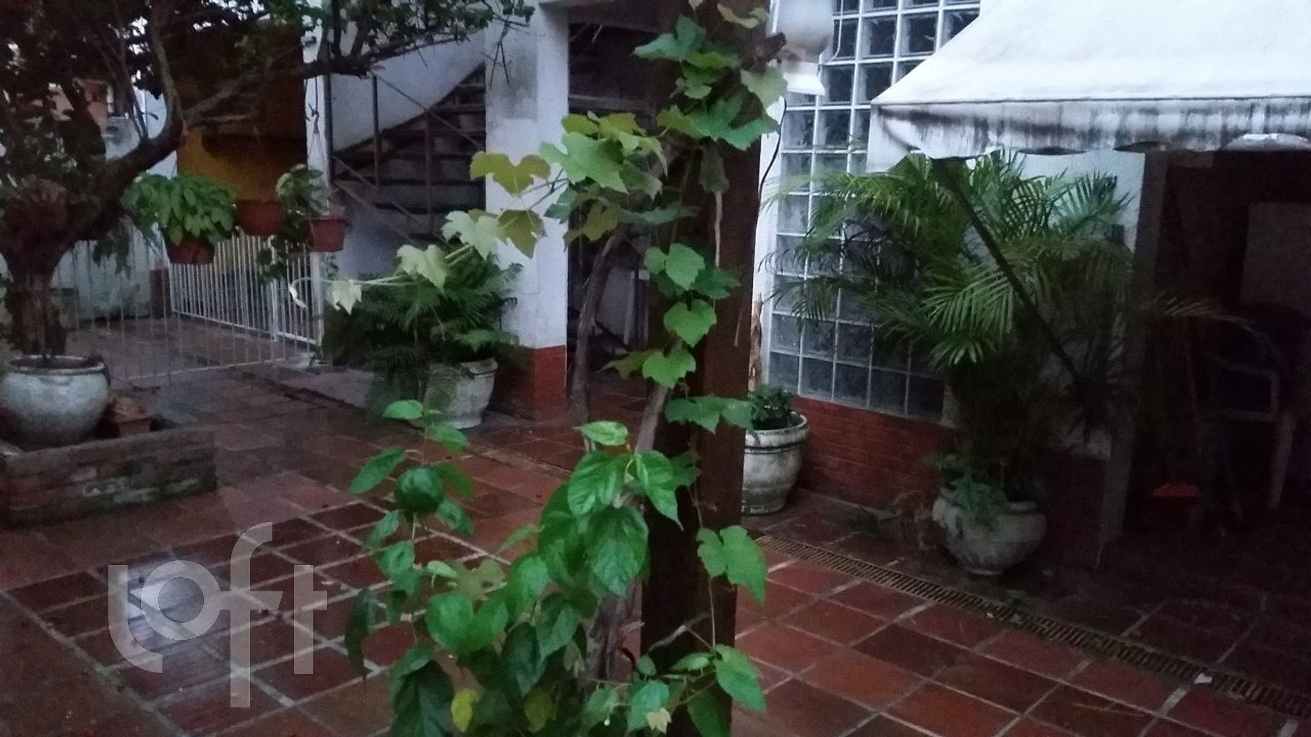 Imagem da propriedade 30