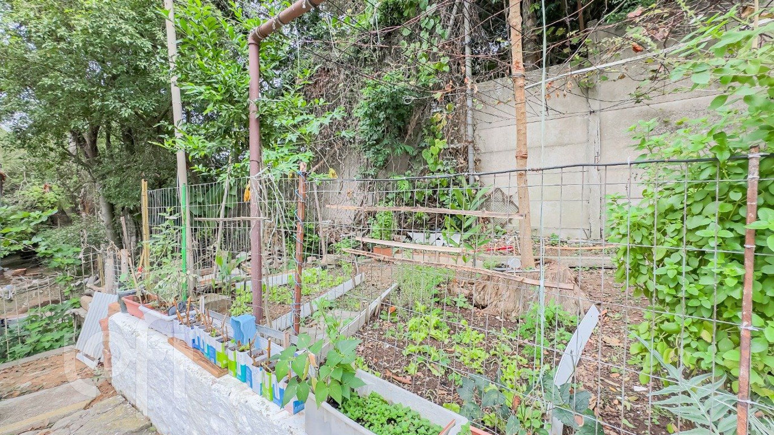 Imagem da propriedade 26