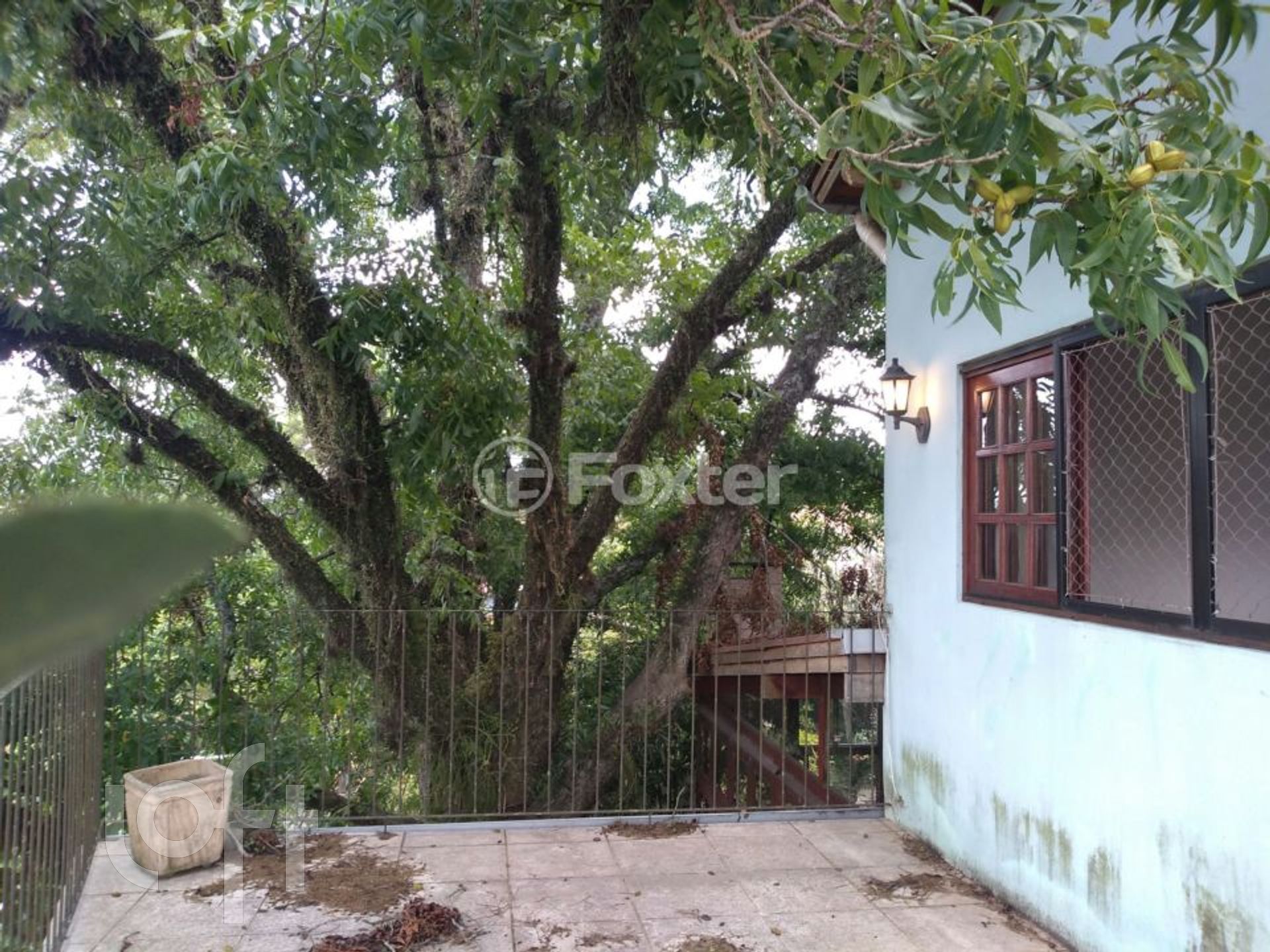 Imagem da propriedade 23