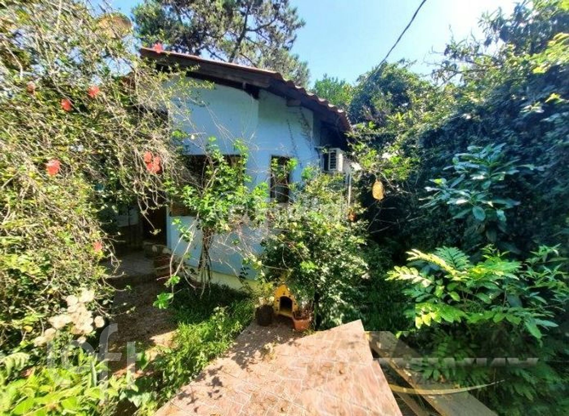 Imagem da propriedade 17