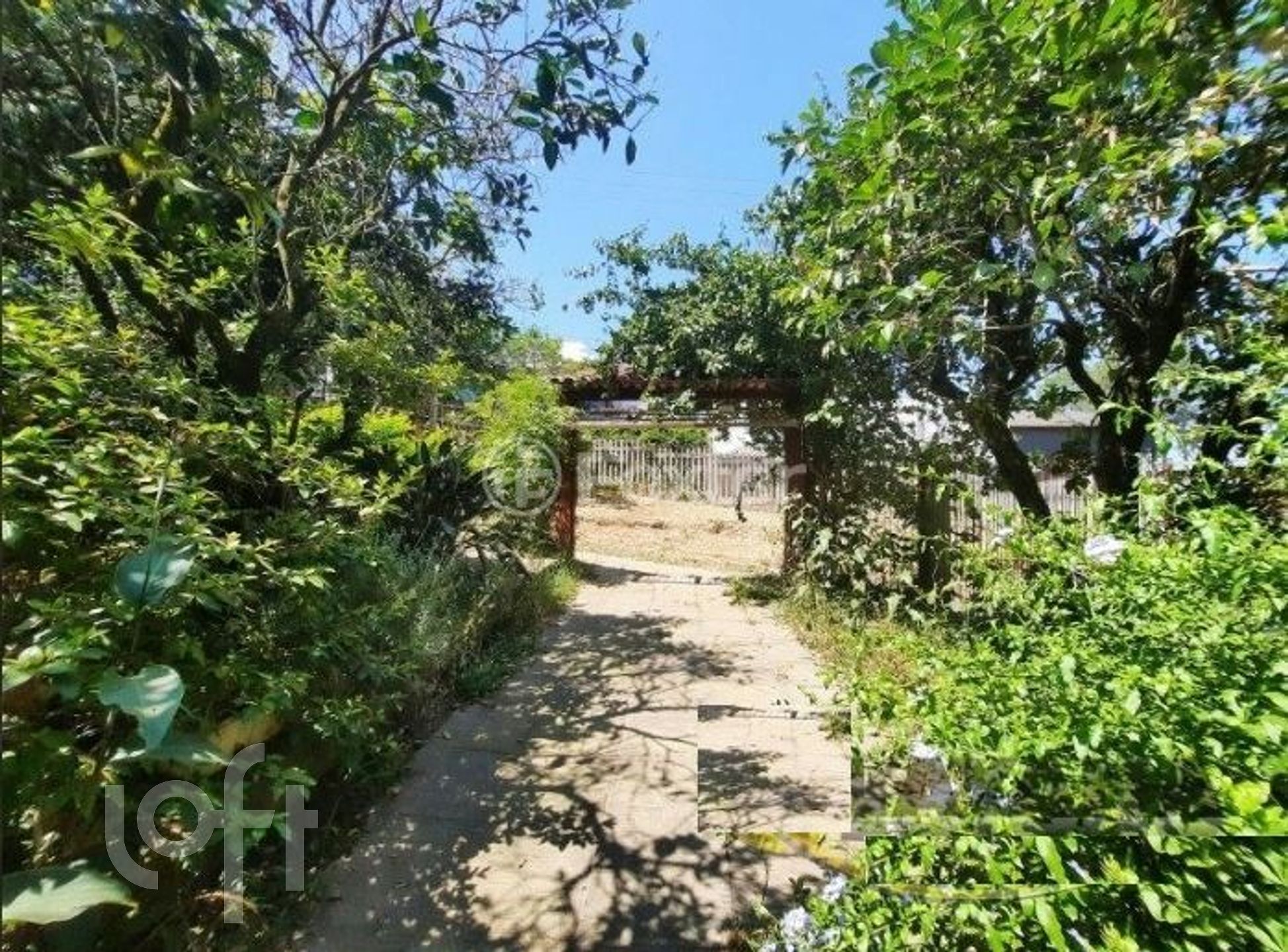 Imagem da propriedade 16